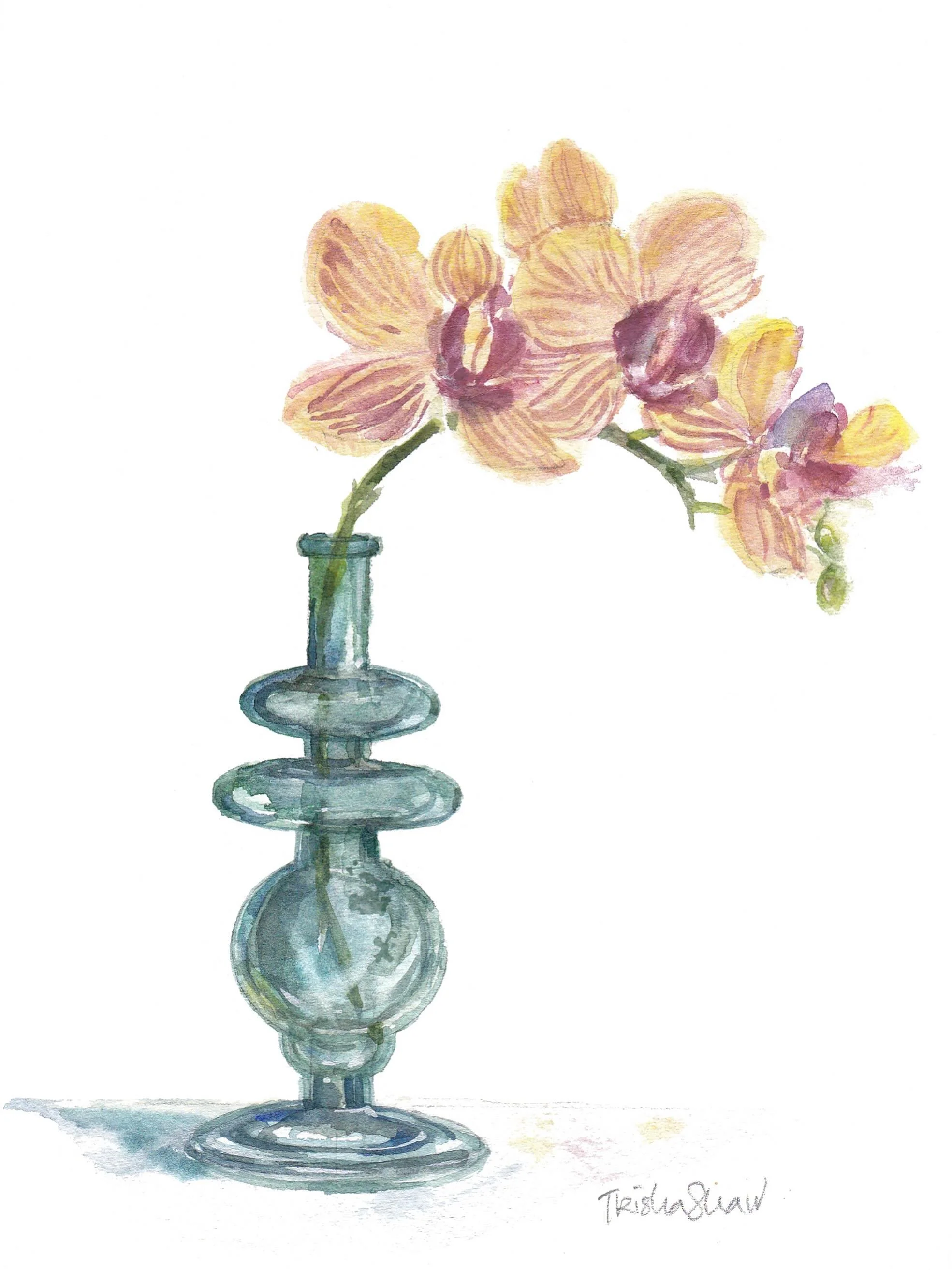 sculptural vase + an arc of orchids🩵💛🩷