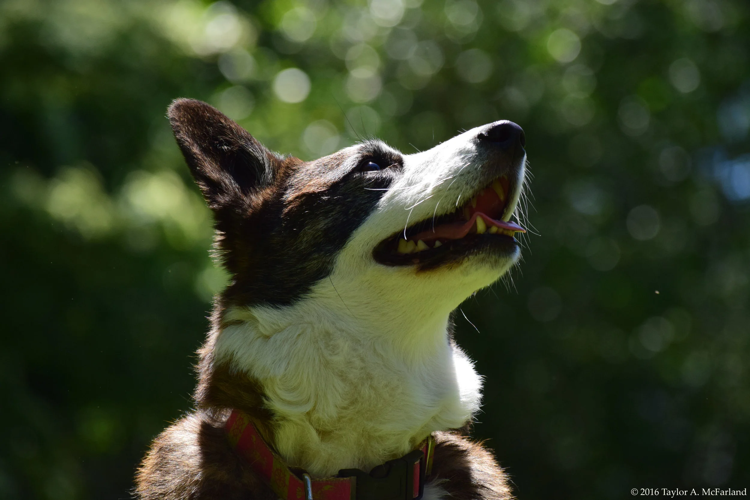 DSC_0578.jpg