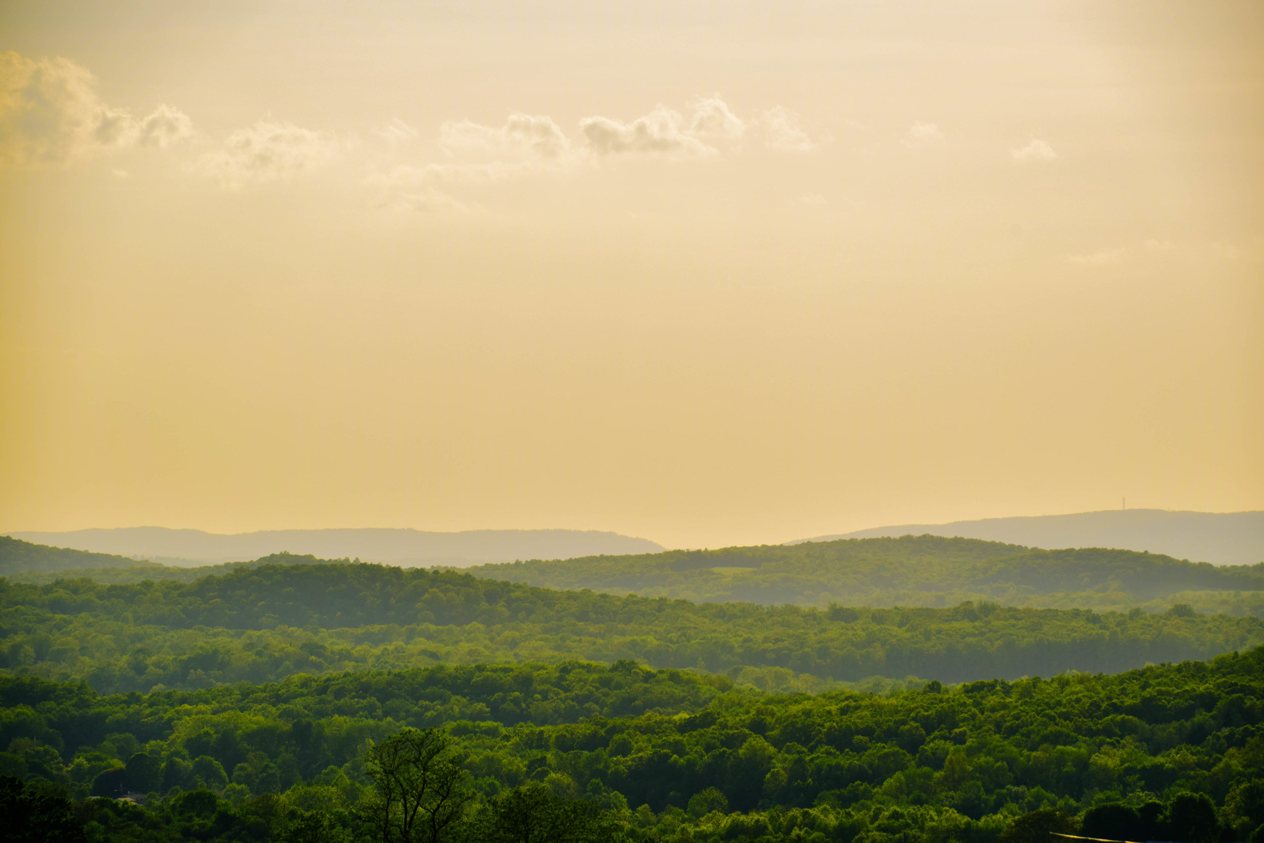 DSC_0066-22.jpg