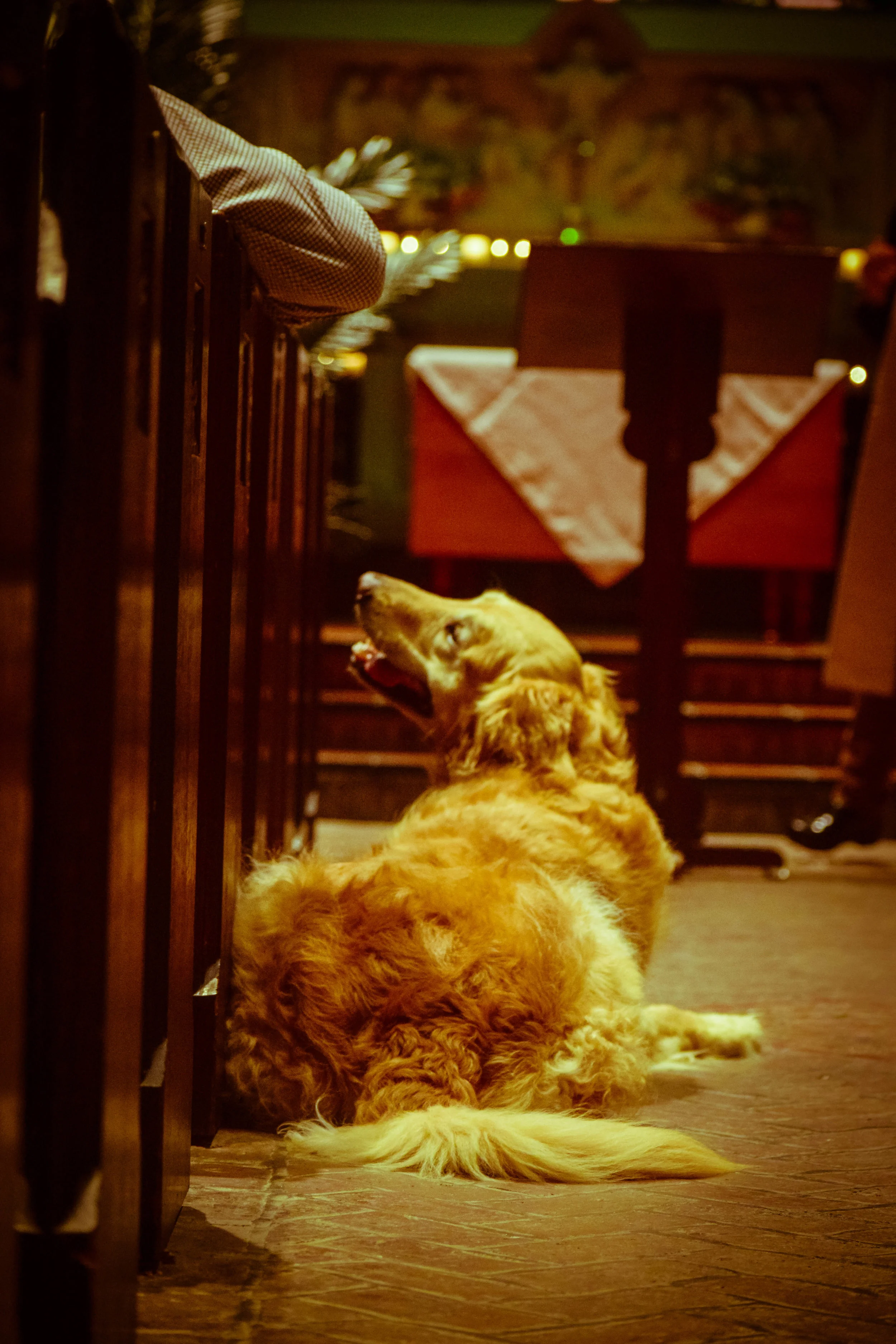 DSC_0785-77 - Copy.jpg