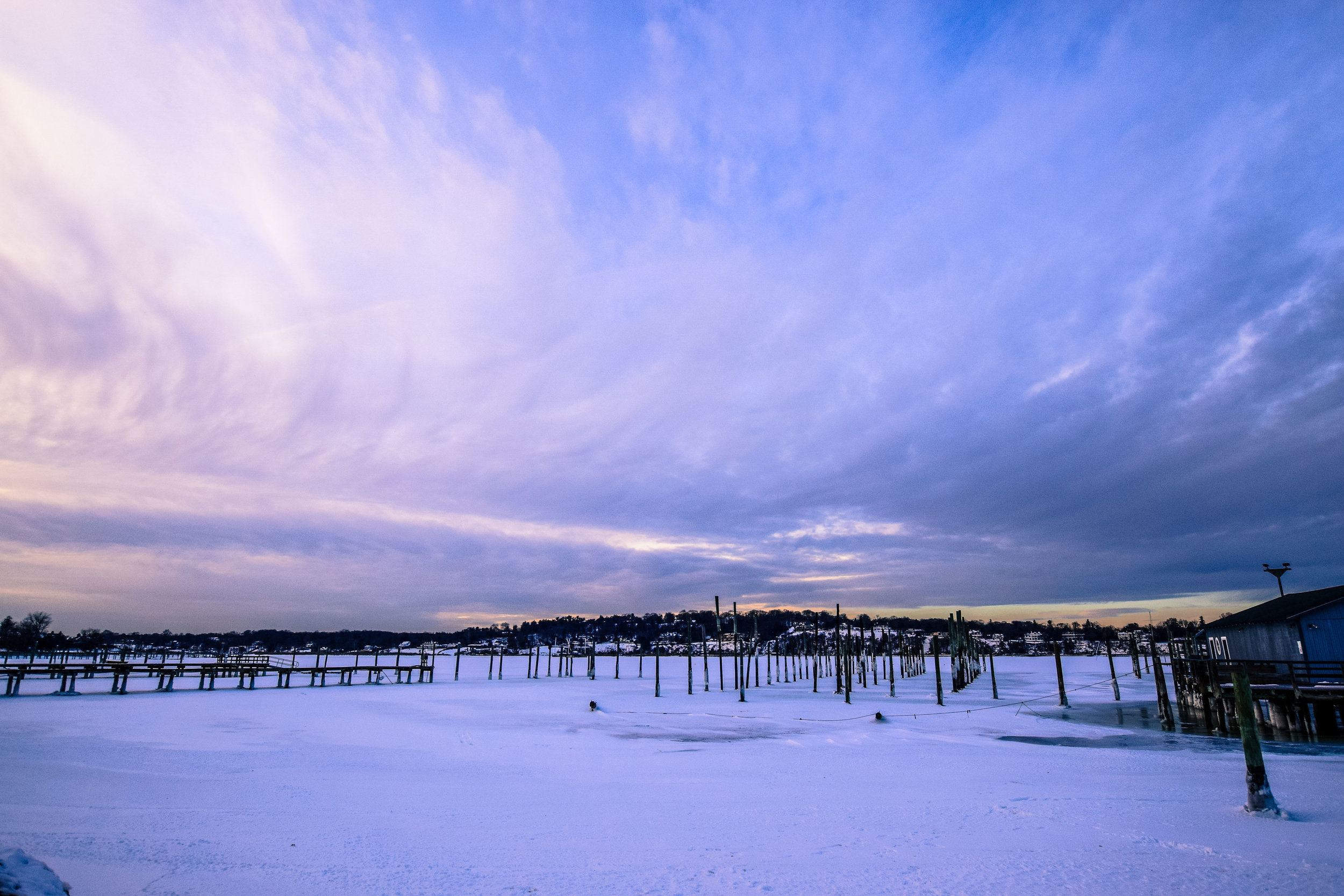 DSC_0012-1-1.jpg