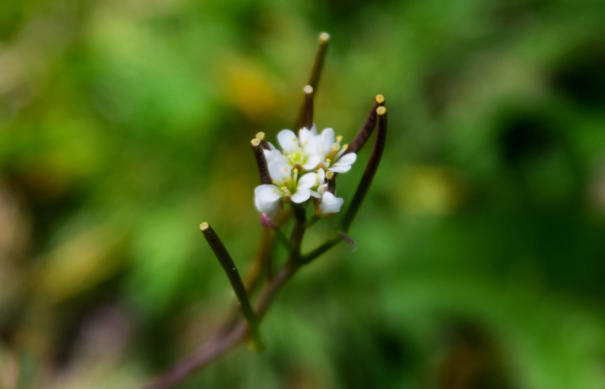 DSC_0329.jpg