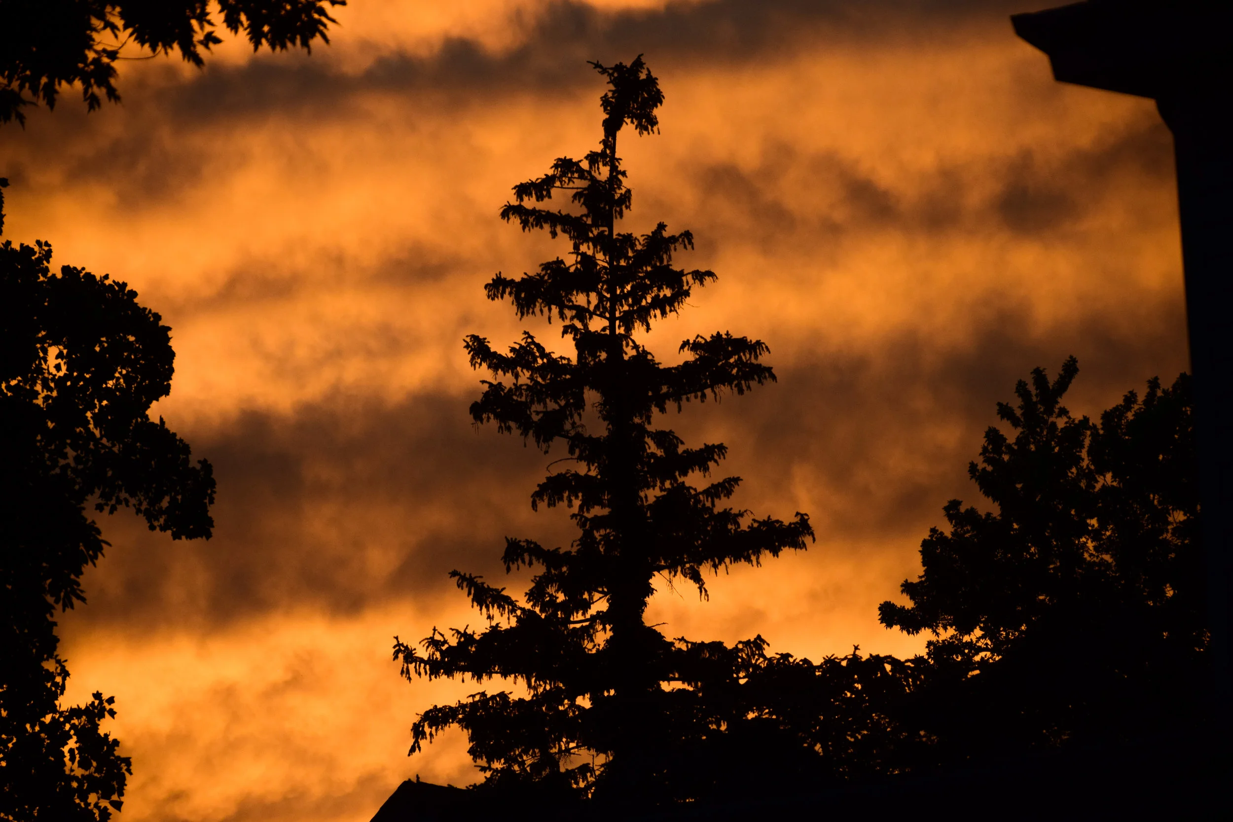 DSC_0414.jpg