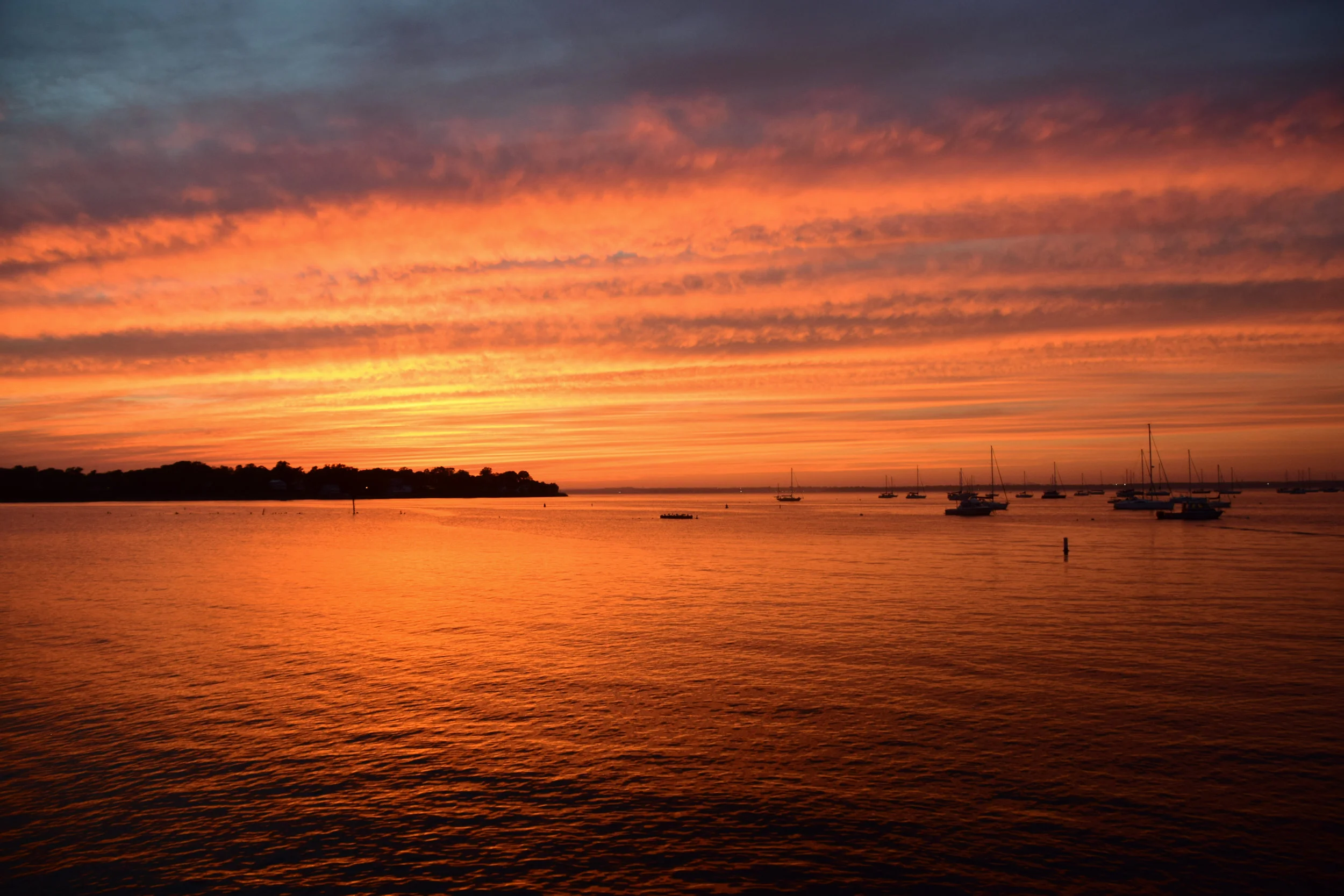 DSC_0417.jpg