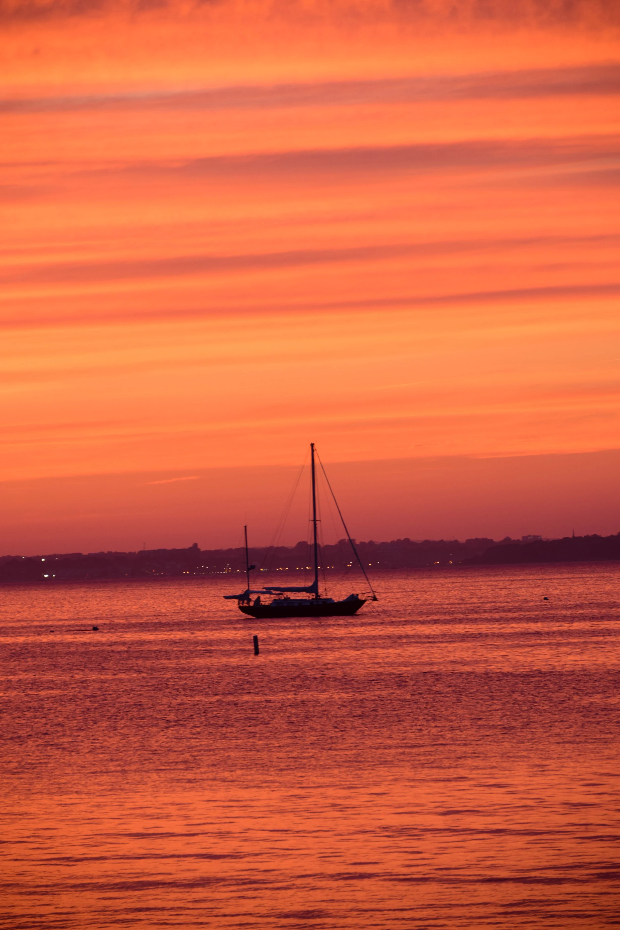 DSC_0436.jpg