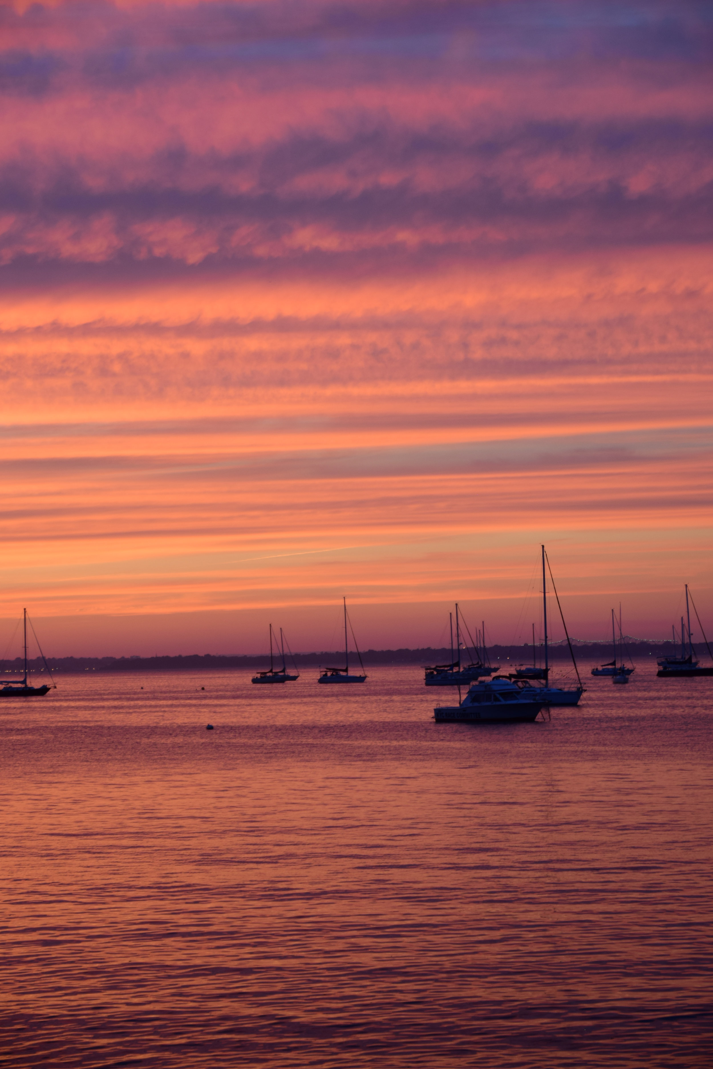 DSC_0439.jpg