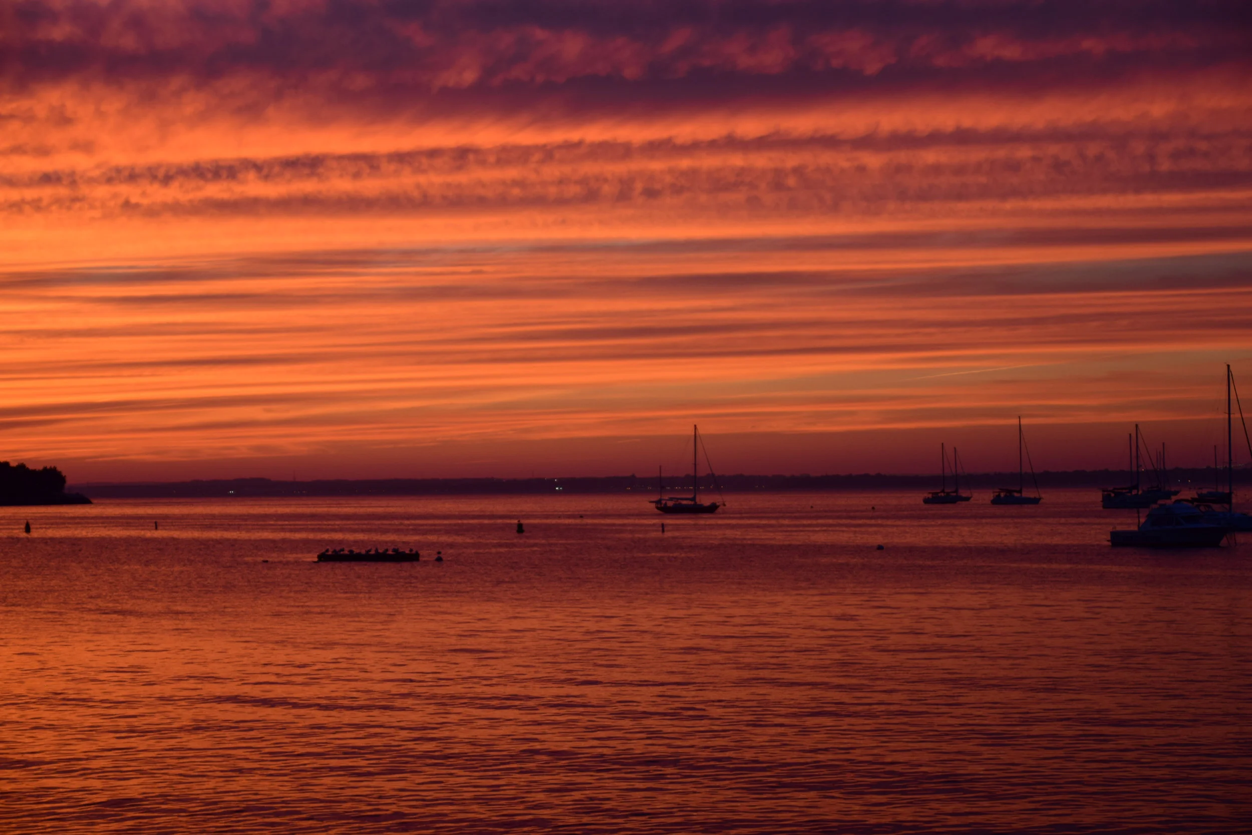 DSC_0440.jpg