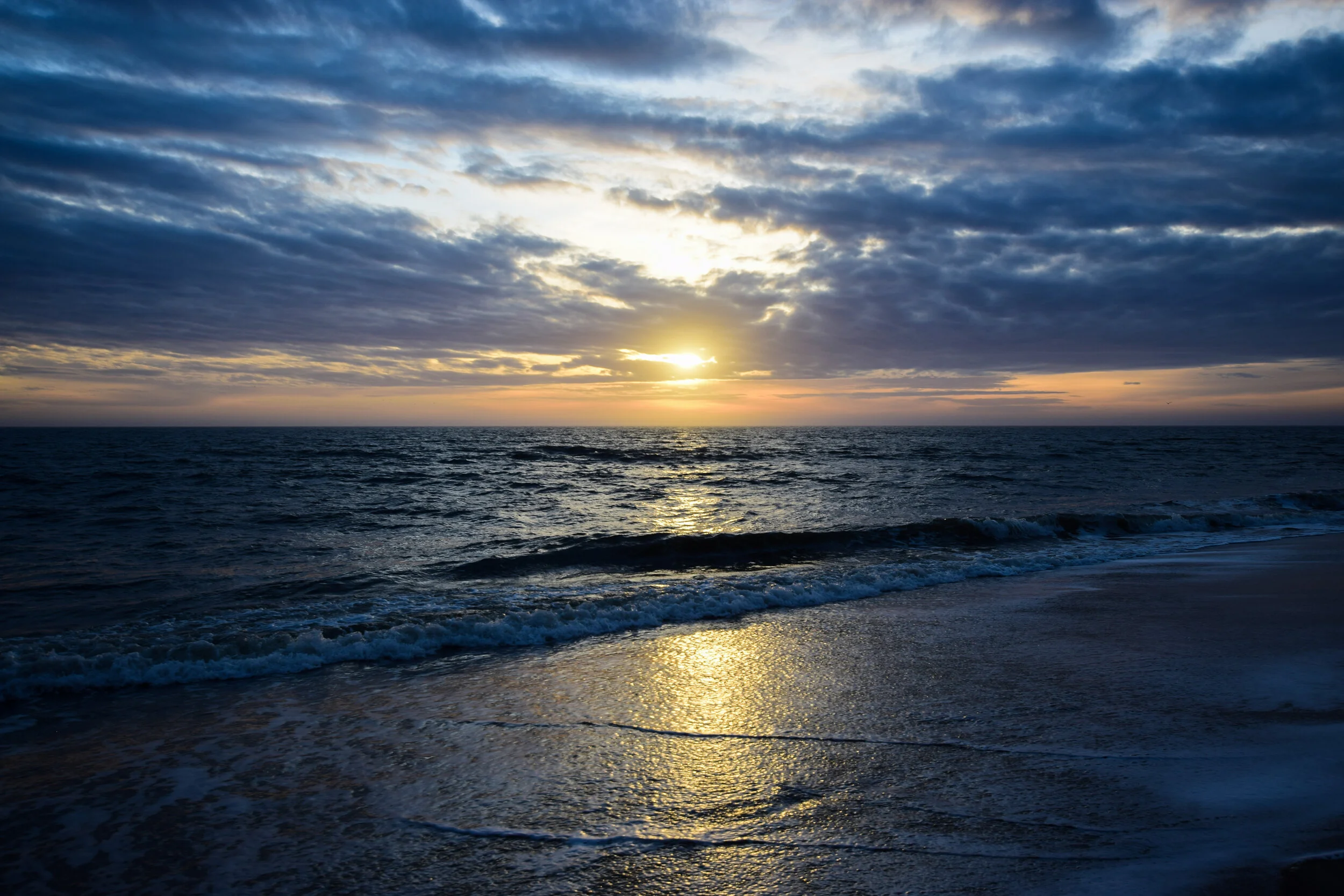 DSC_0206.jpg