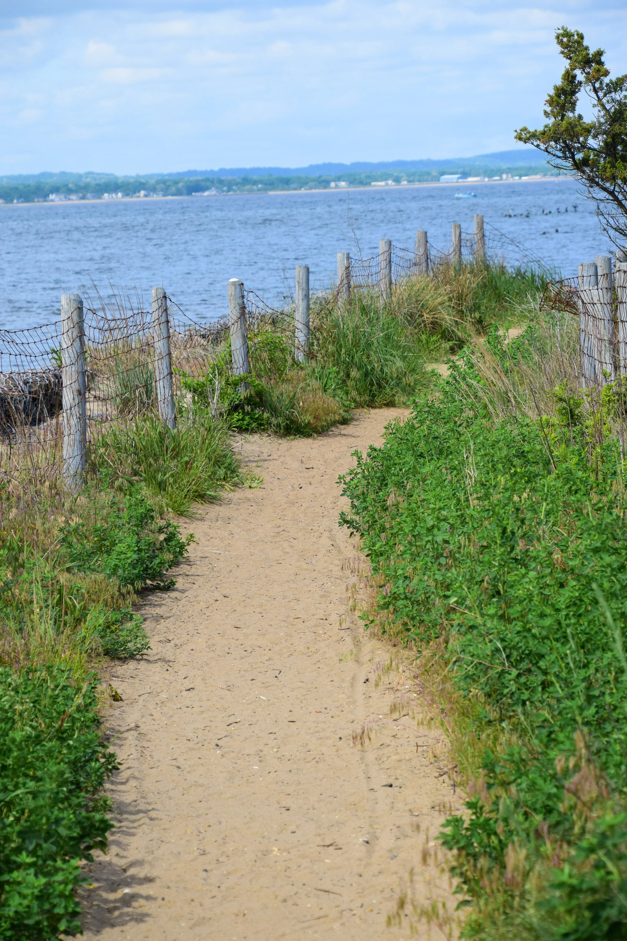 DSC_0017.jpg
