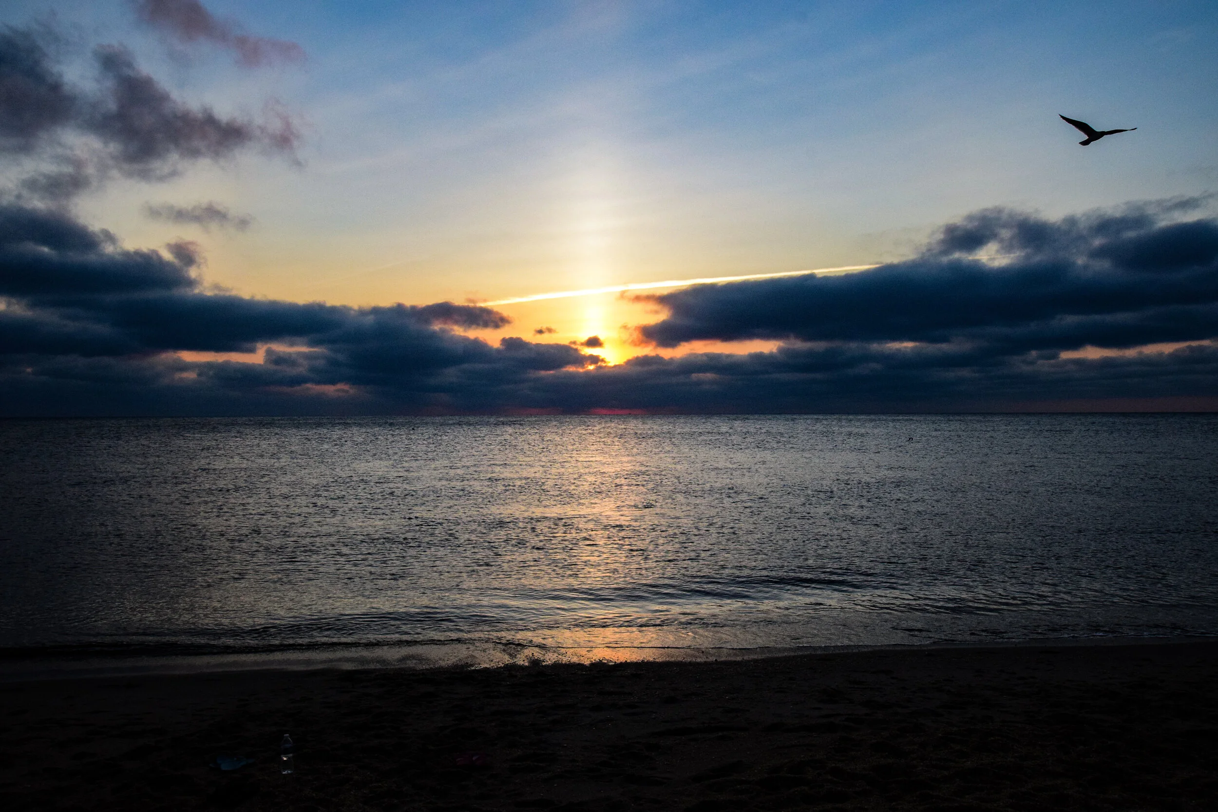 DSC_0612.jpg