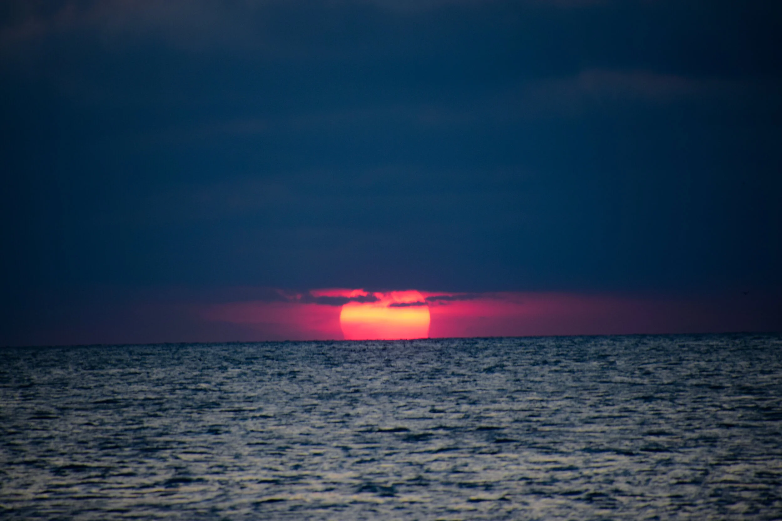 DSC_0681.jpg