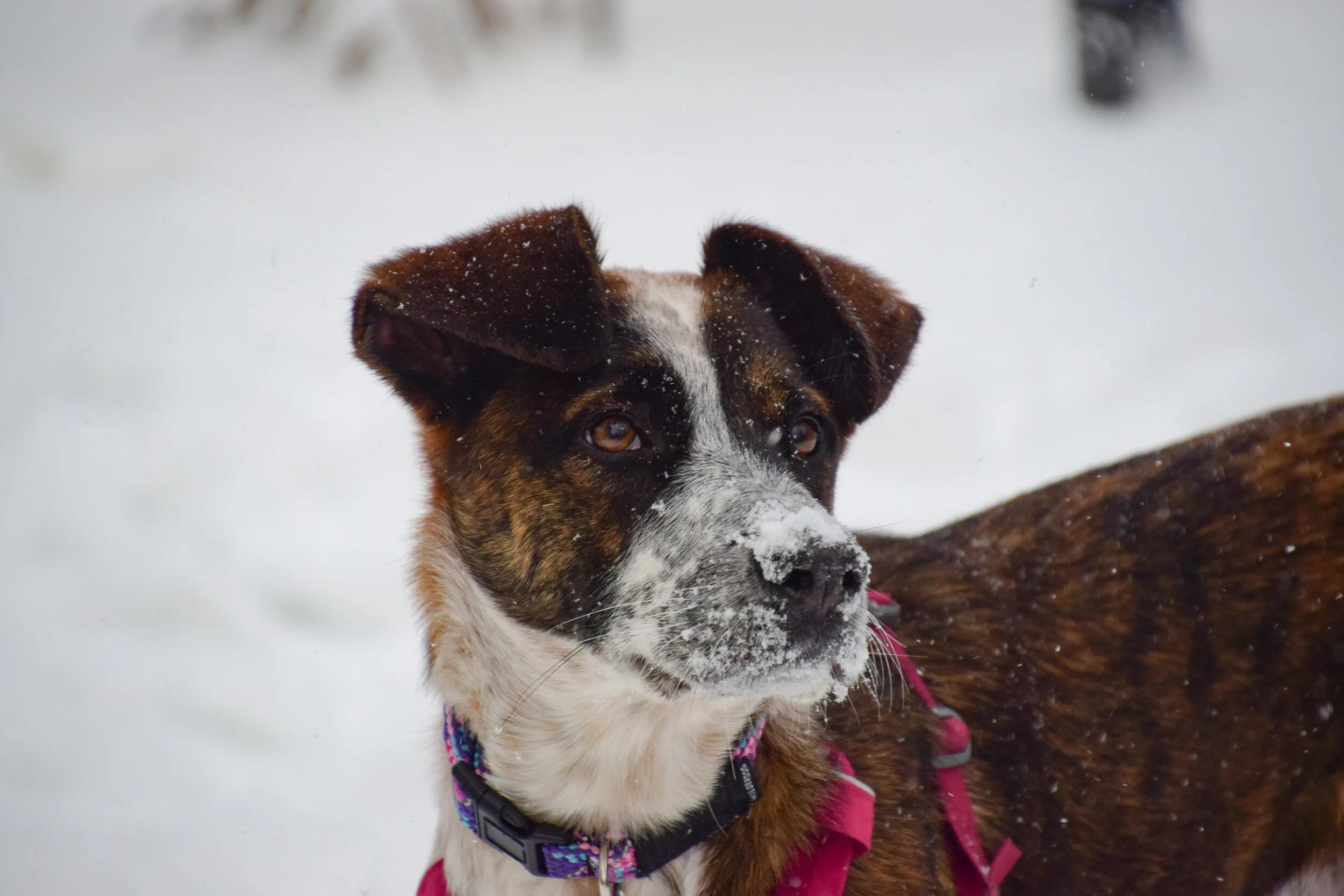 DSC_0844.jpg