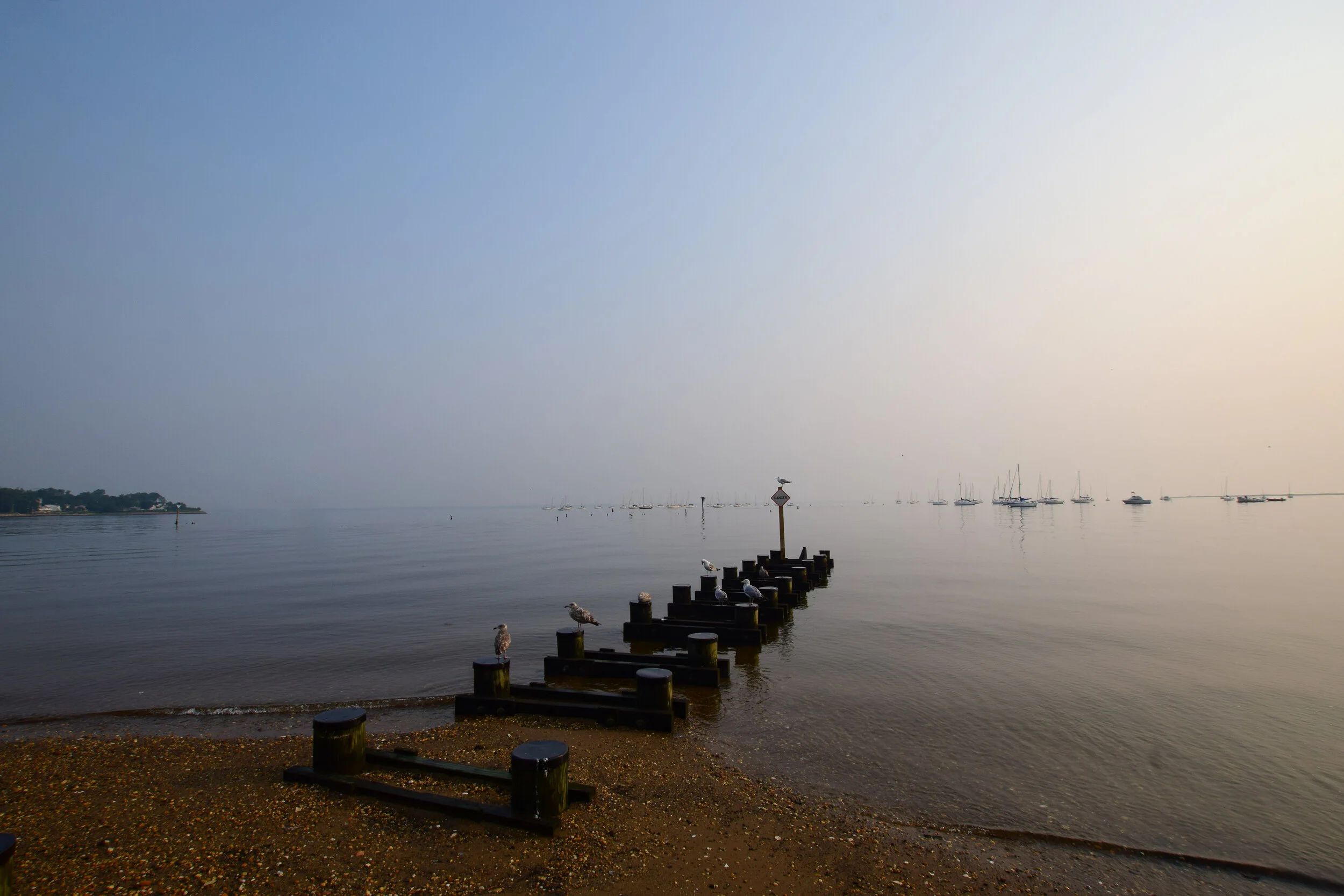 DSC_0309.jpg