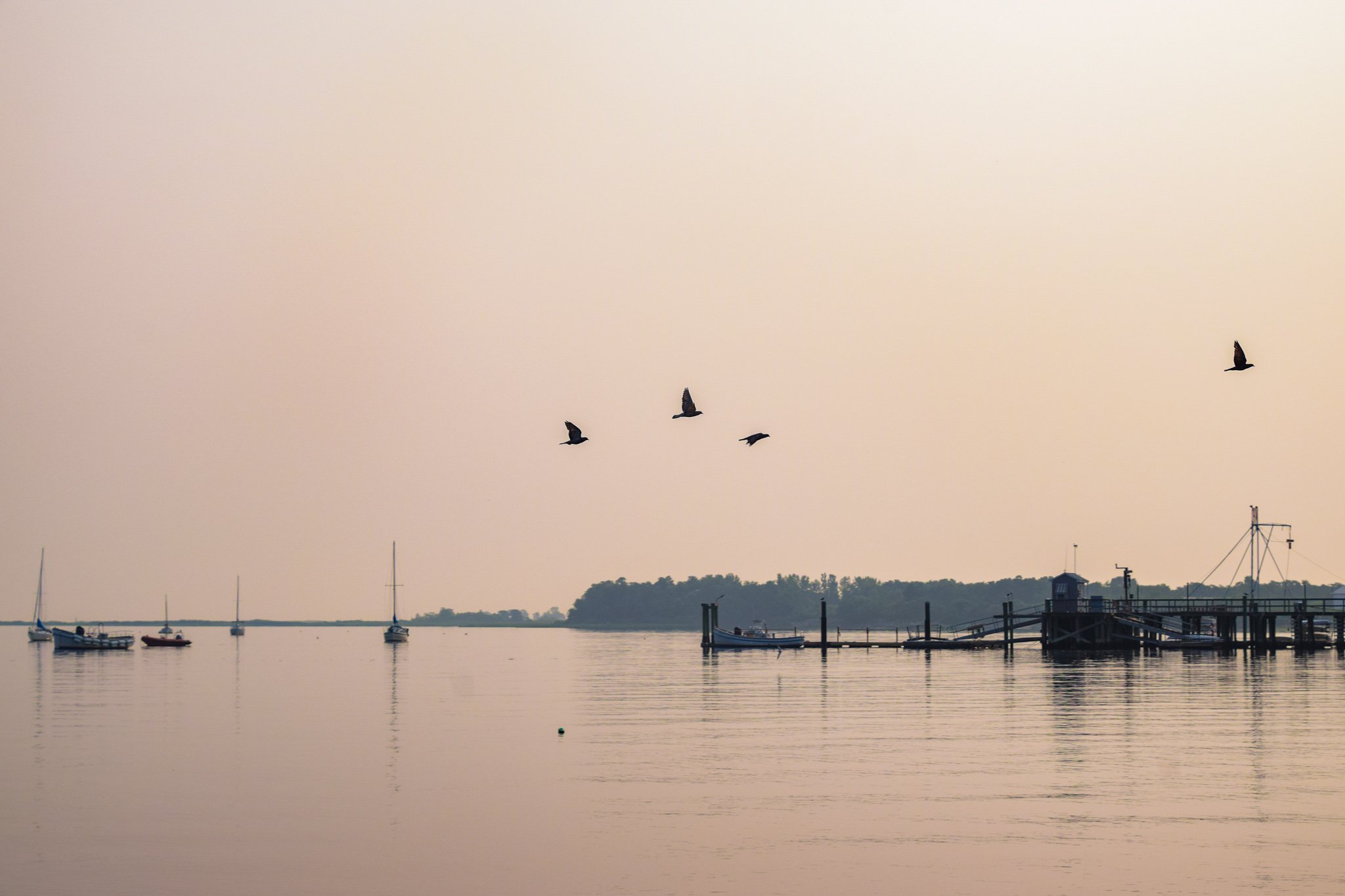 DSC_0276.jpg