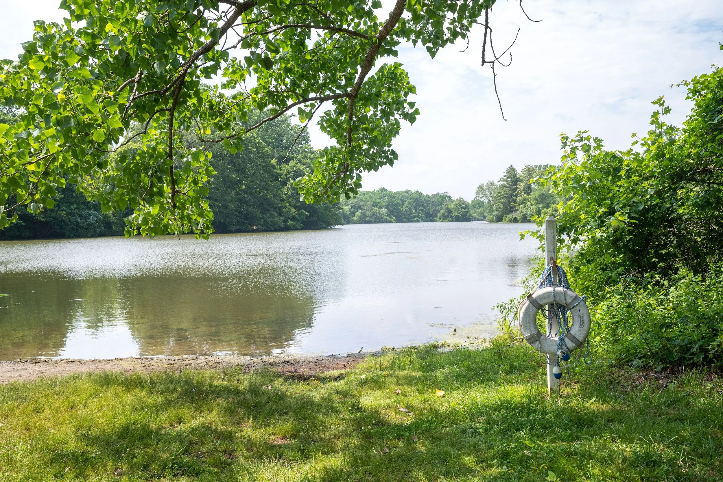 DSC_1726.jpg
