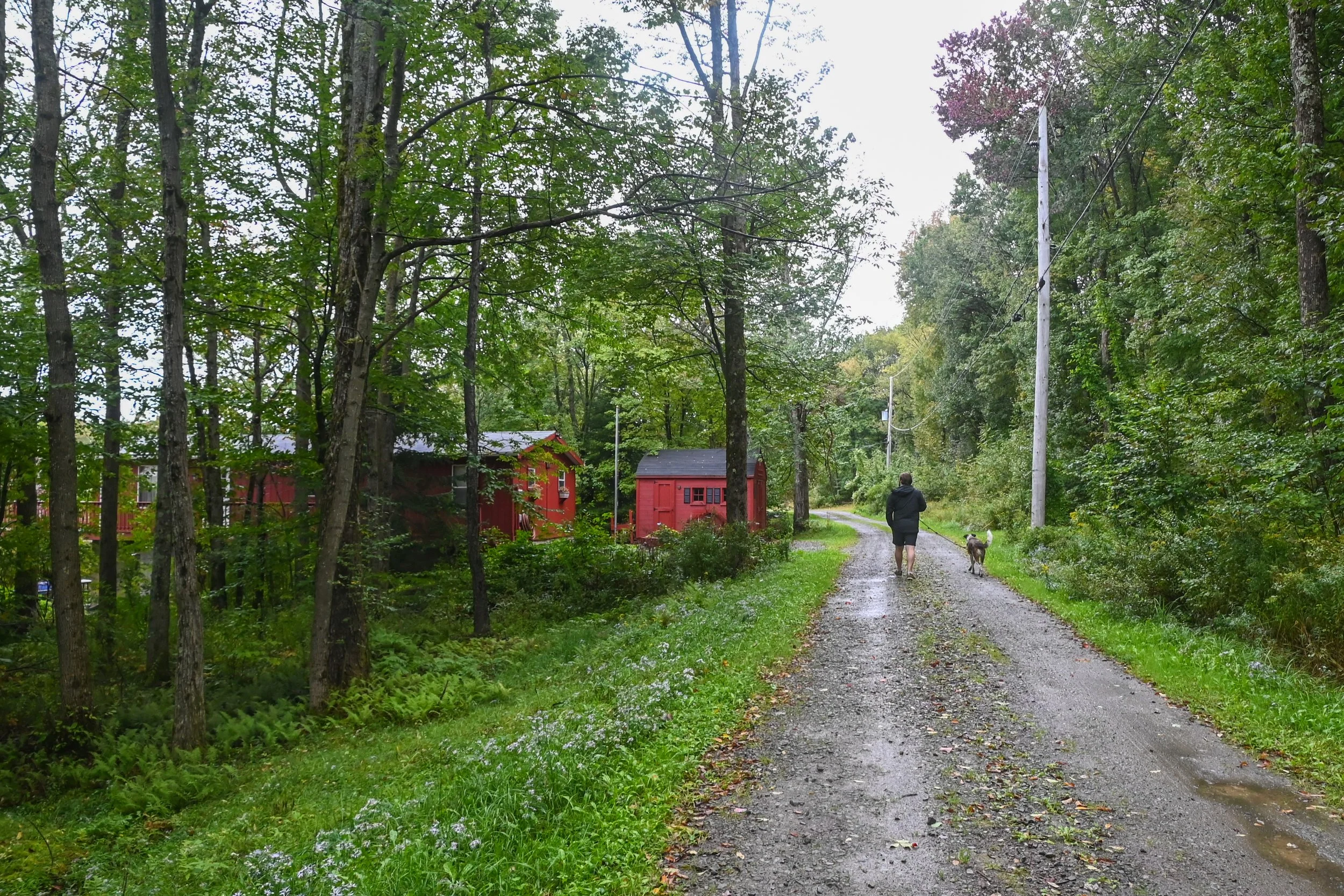 DSC_9152.jpg