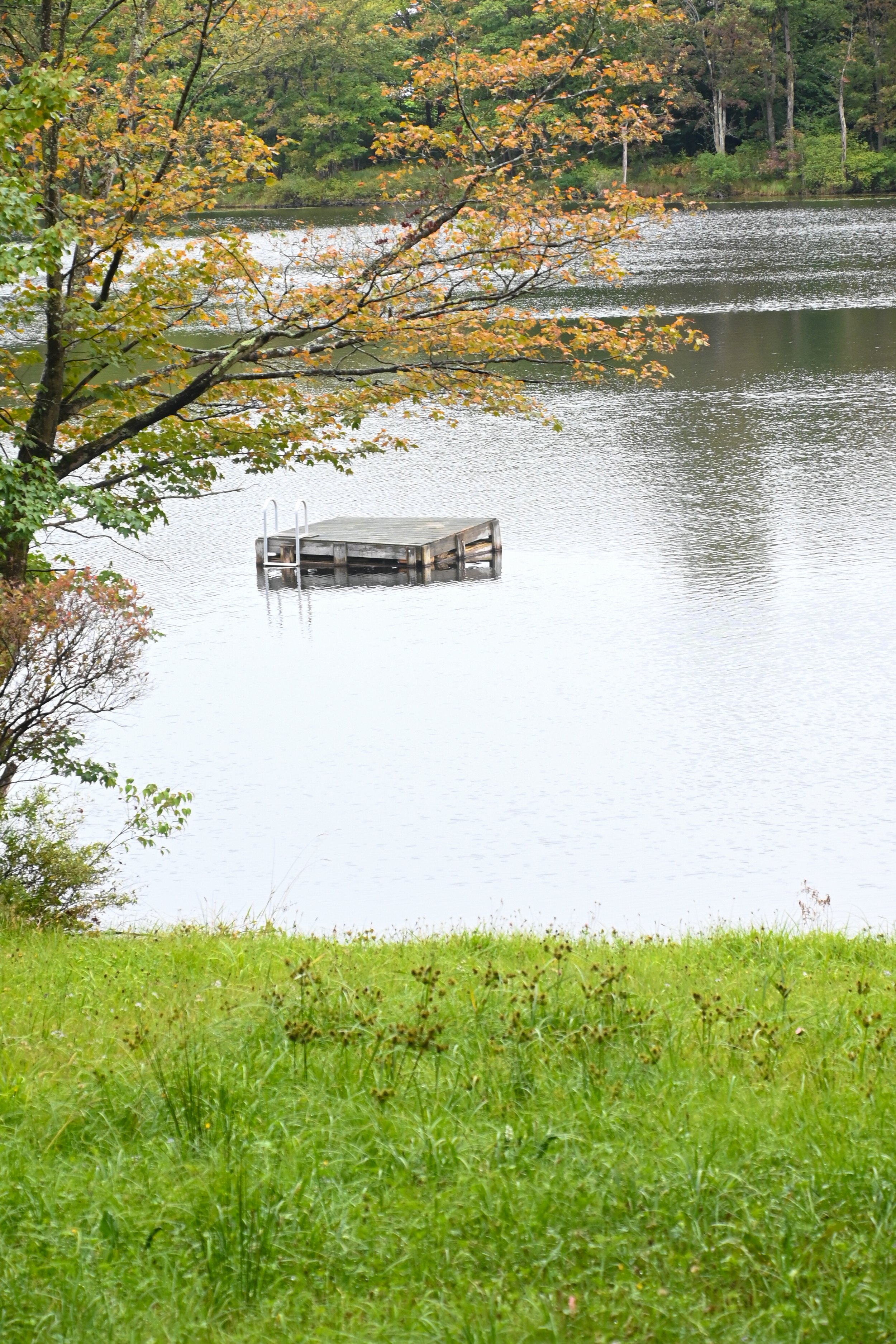 DSC_9181.jpg