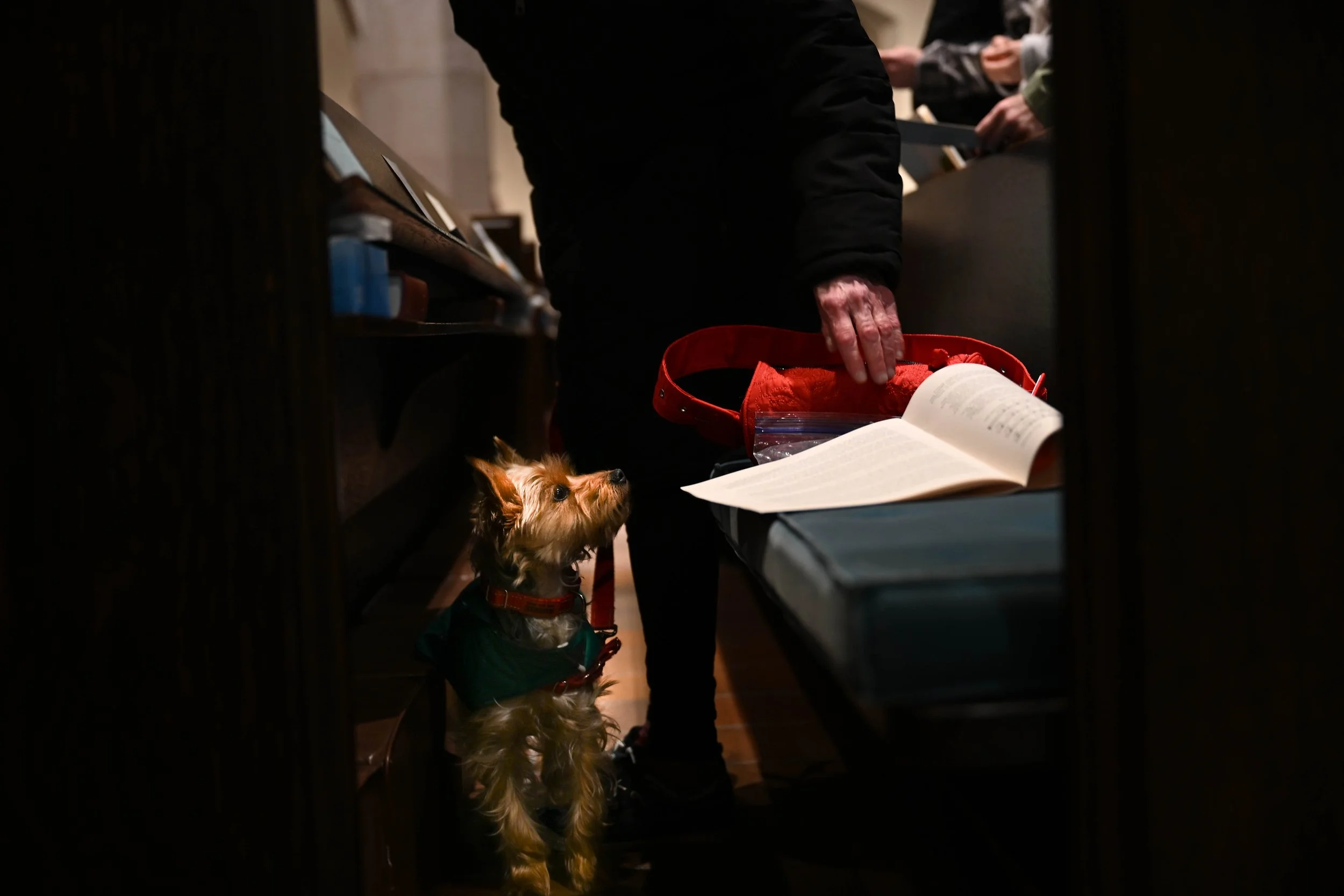DSC_0323.jpg