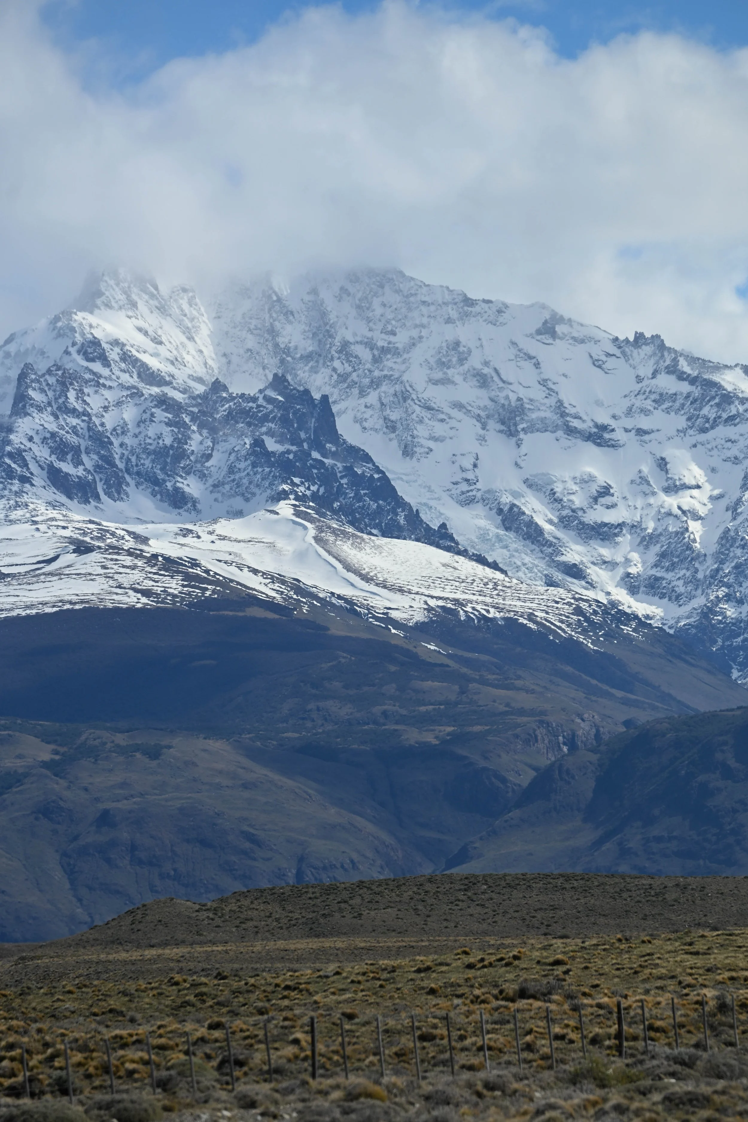 DSC_1442.jpg