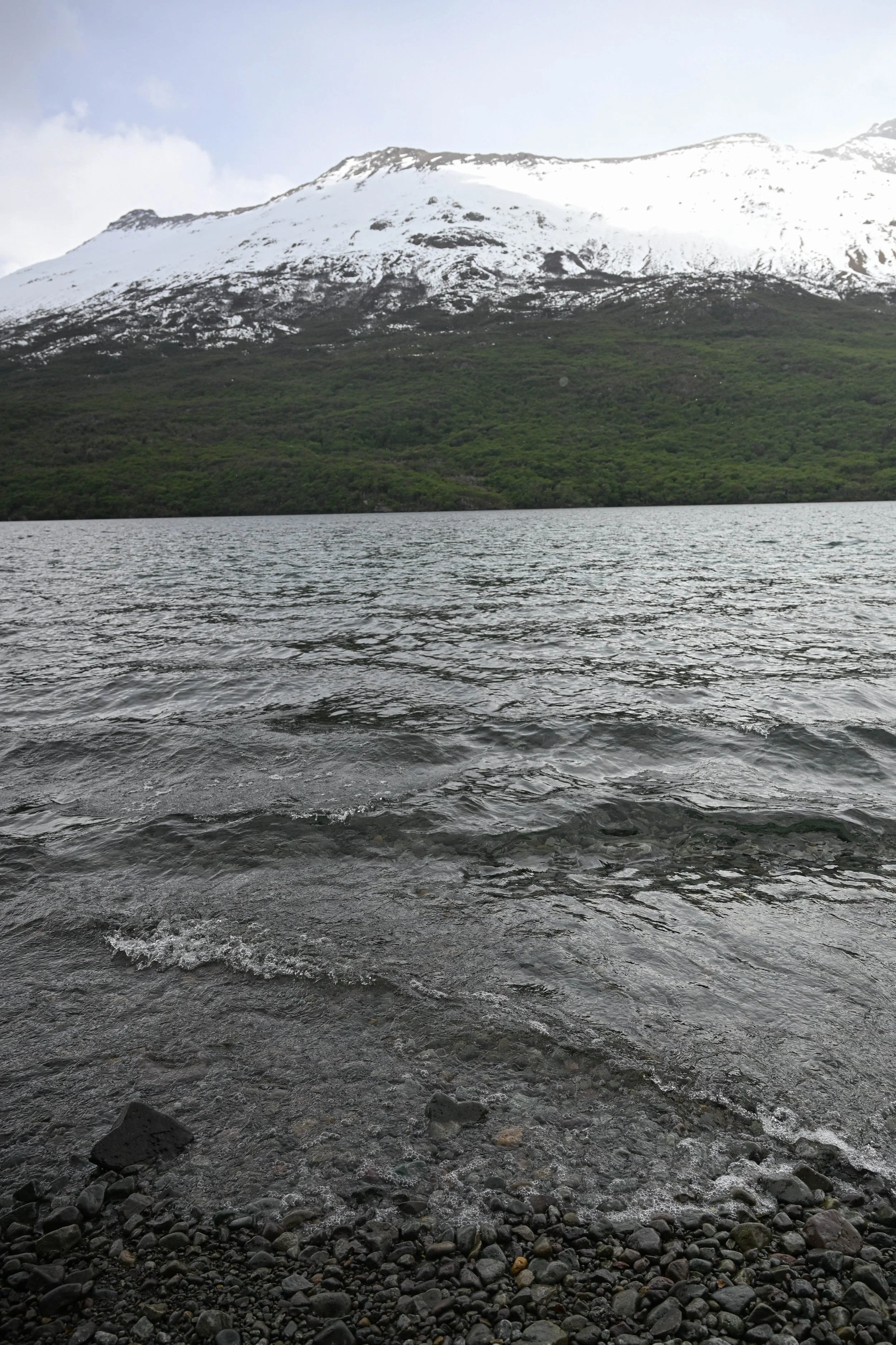 DSC_2239.jpg