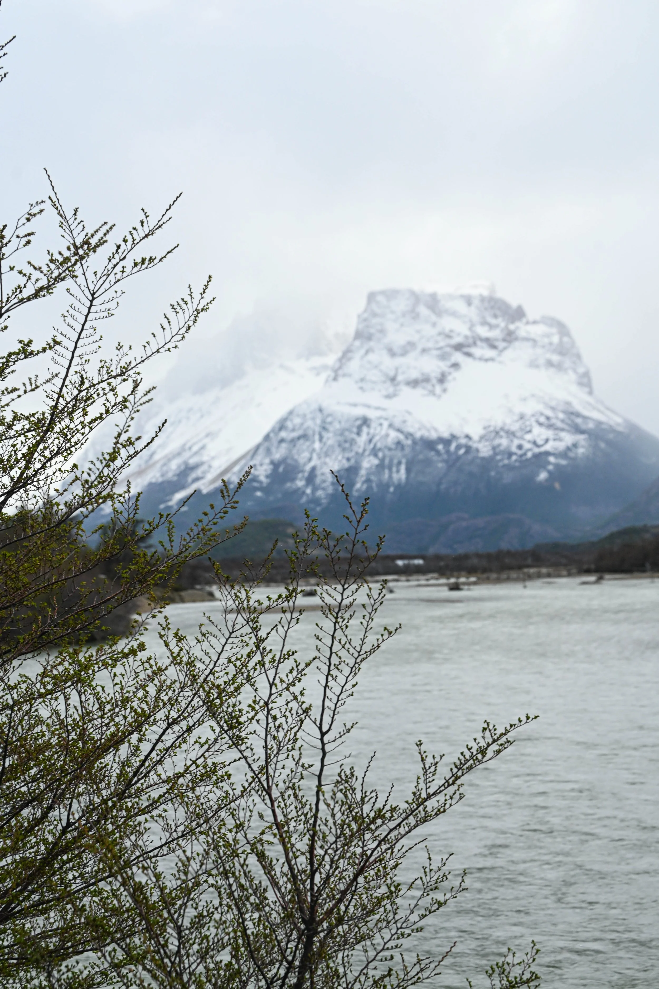 DSC_1608.jpg