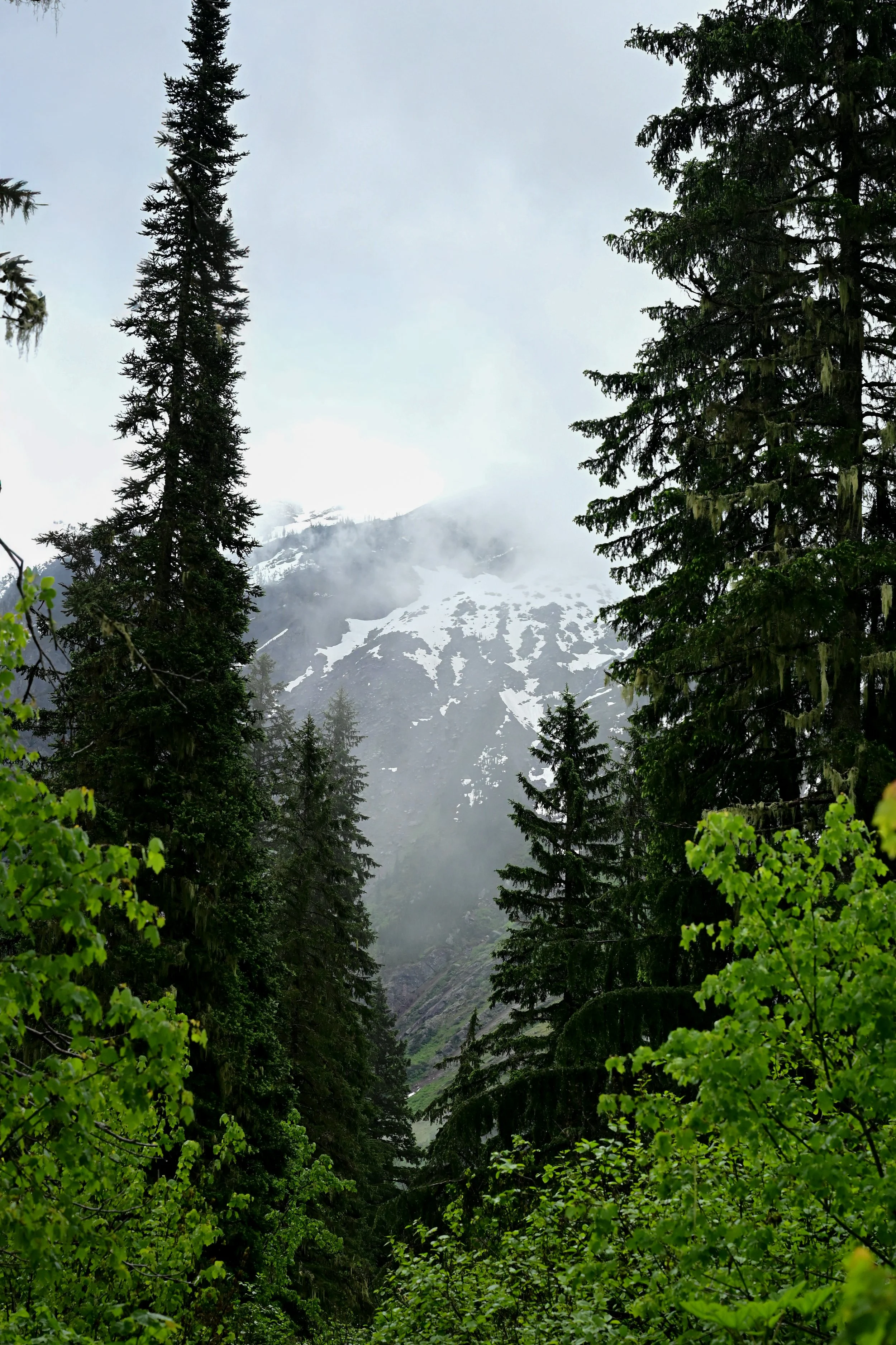 DSC_4615.jpg