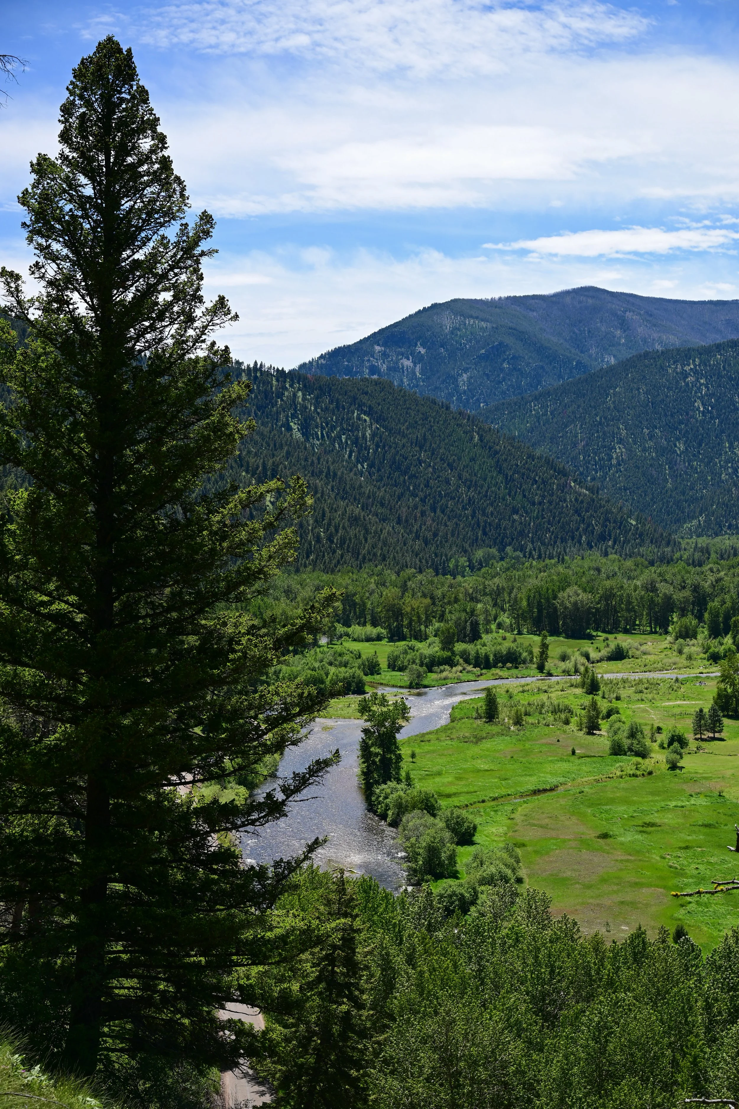 DSC_3305.jpg