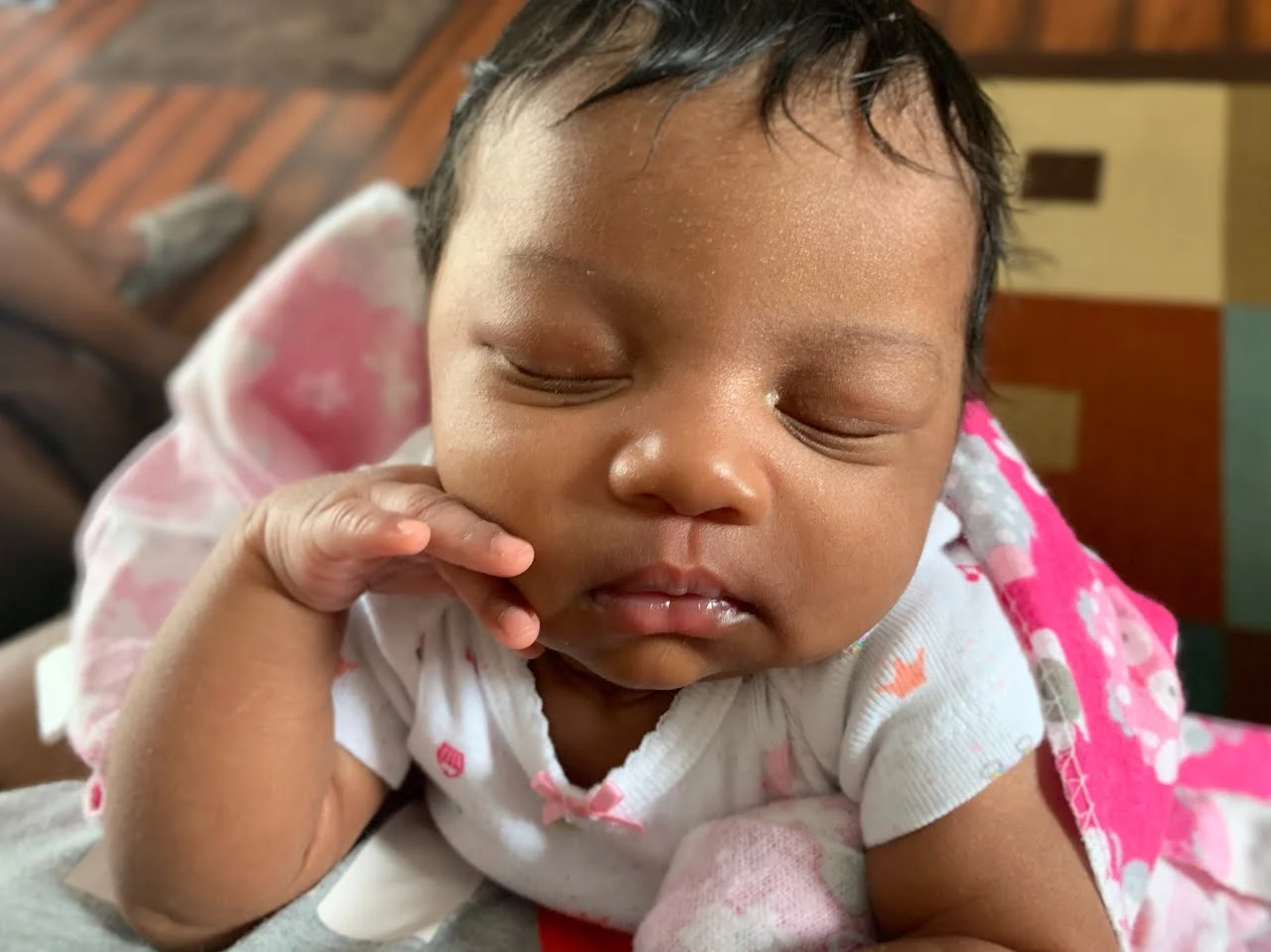 Walleshia N. Murfreesboro, TN