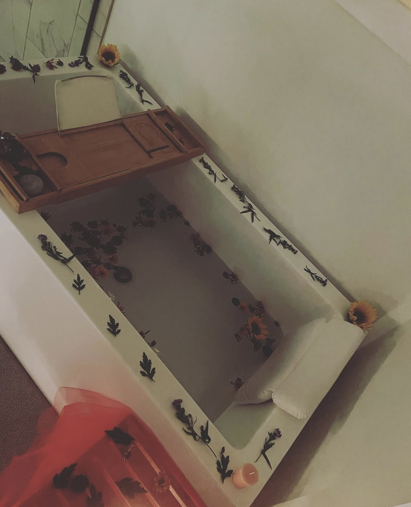 Screenshot 2026-02-16 at 12.21.18 PM.png