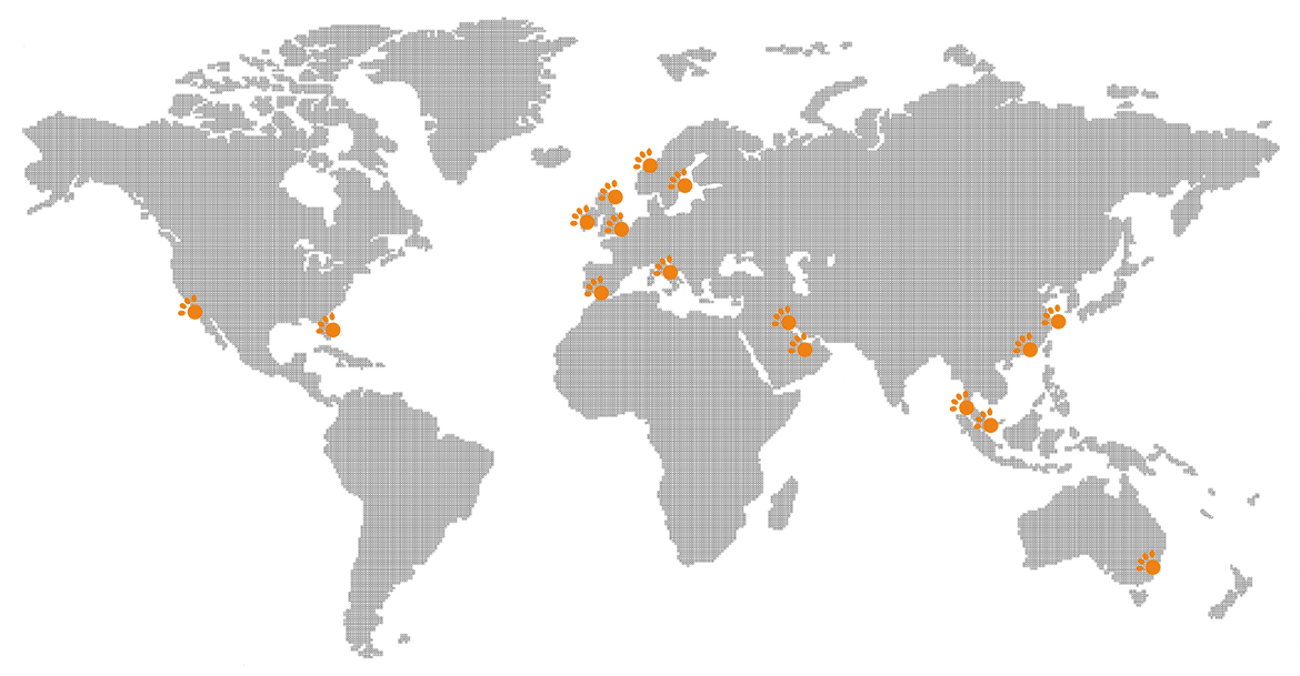 Tigerplay_international map.jpg