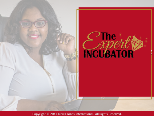 Expert-Incubator.png