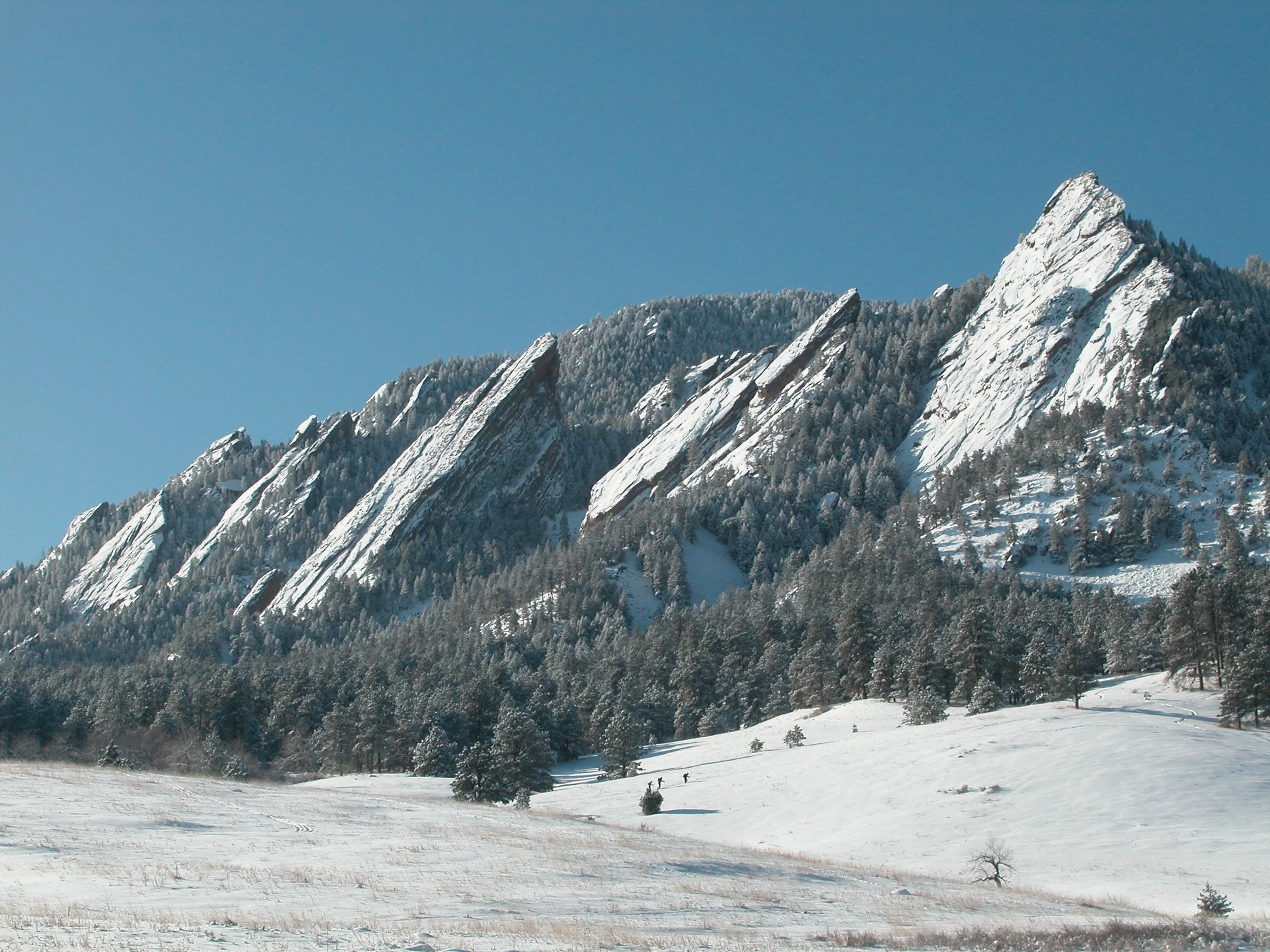 DSCN0005.JPG