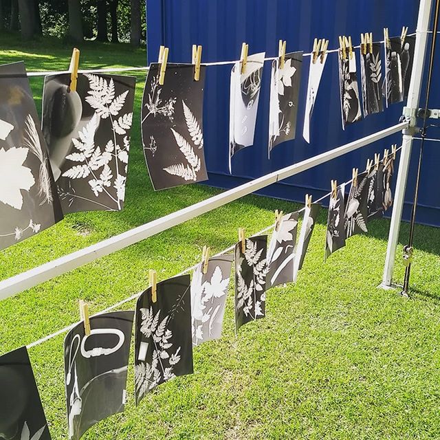 We're hanging out with the @sitegallery team all weekend making photograms, changing what you see with a viewfinder, chilling by the stage and watching vide-e-oke ☀️
