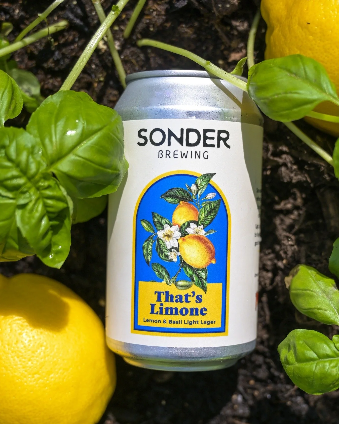 Tomorrow is the day! Our special collaboration with Pompilios, Lemon &amp; Basil Light Lager, hits the taps. Bright, zesty, and perfectly refreshing for patio season. 

This unique brew combines the fresh, aromatic notes of basil with a lively lemon 