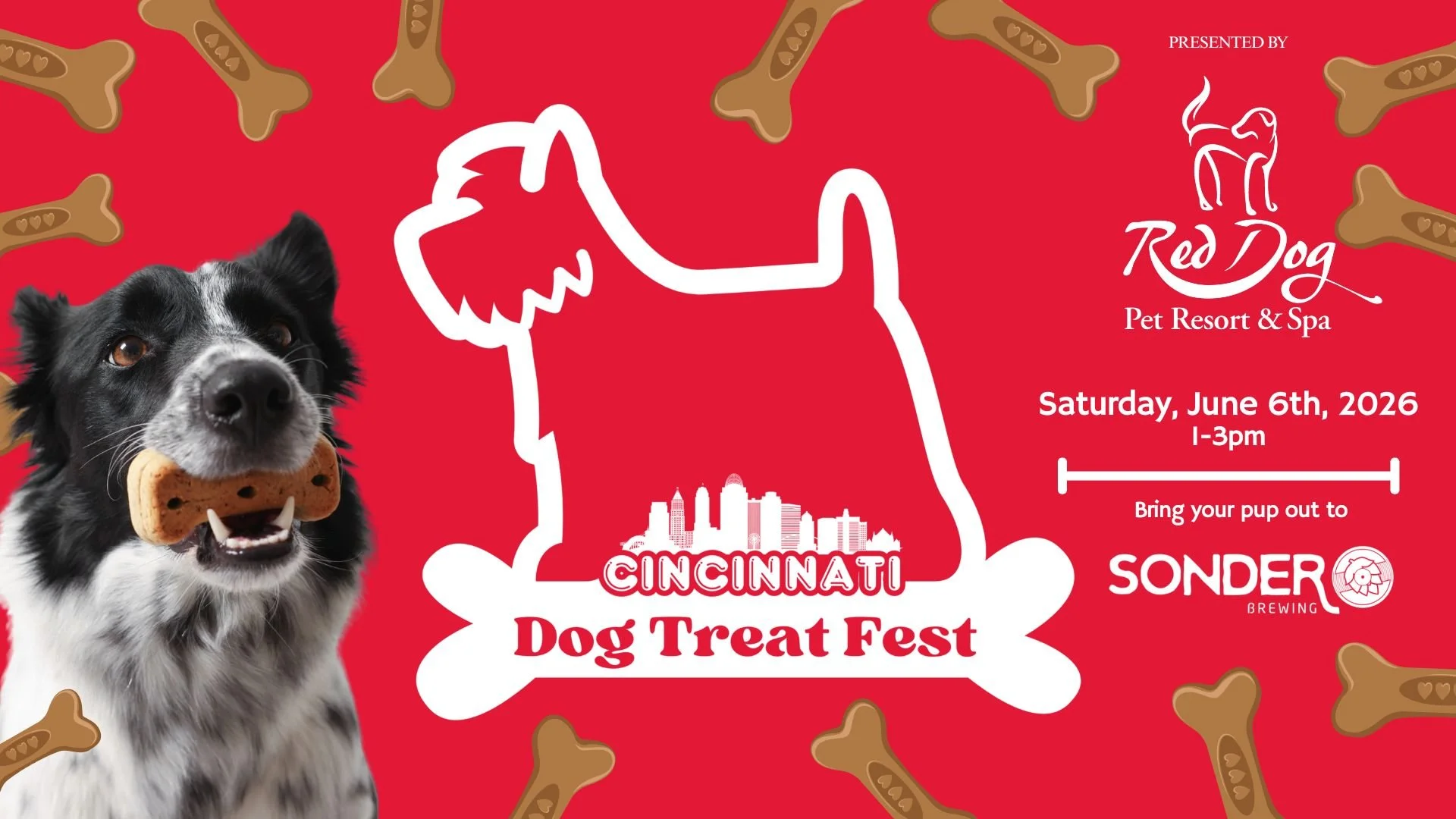MASON Dog Treat Festival 