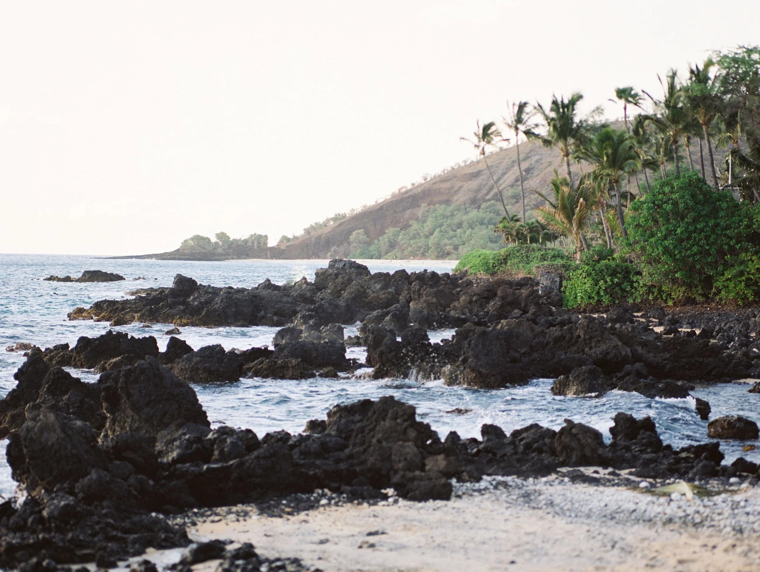 Lava rock and palm trees showcasing the unique side view of Makena Cove in Maui.