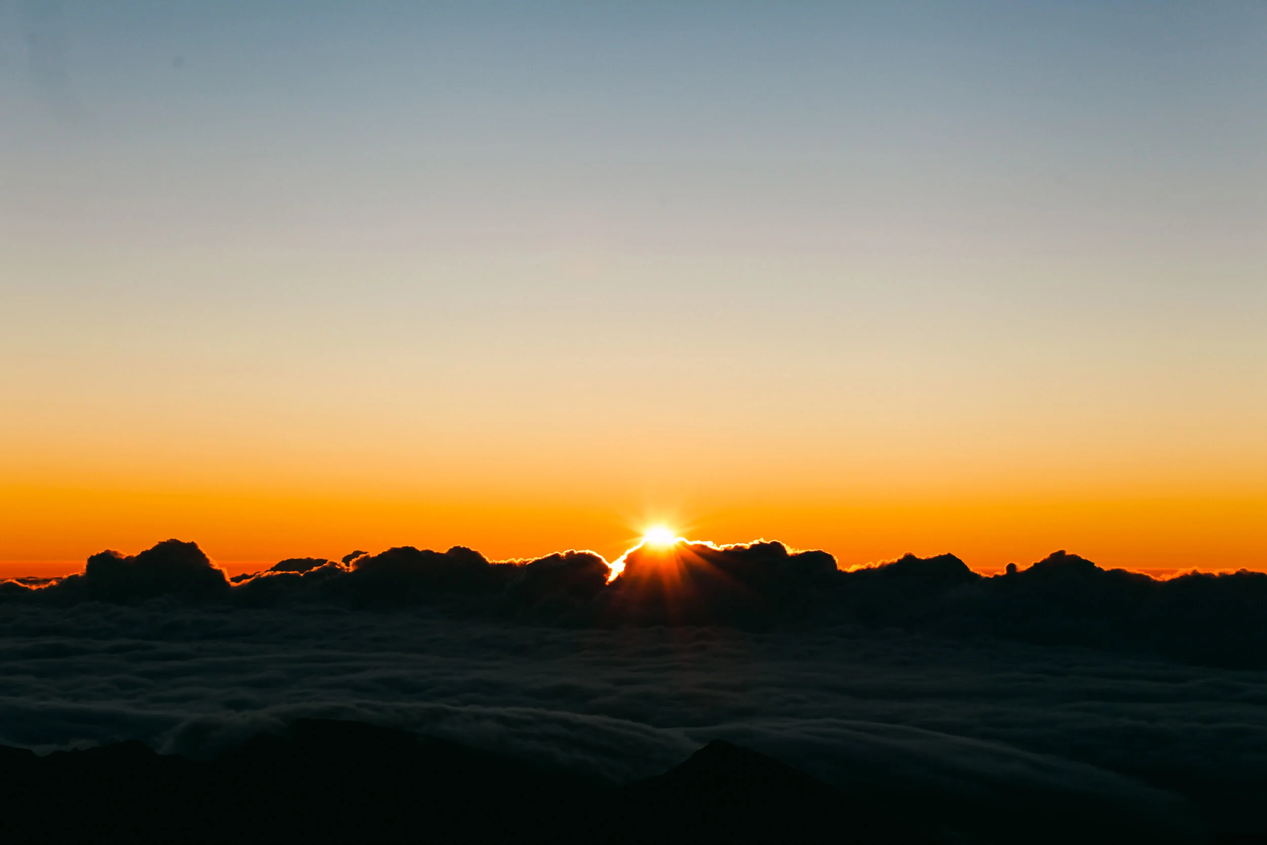 01 (1 of 1)-140.jpg