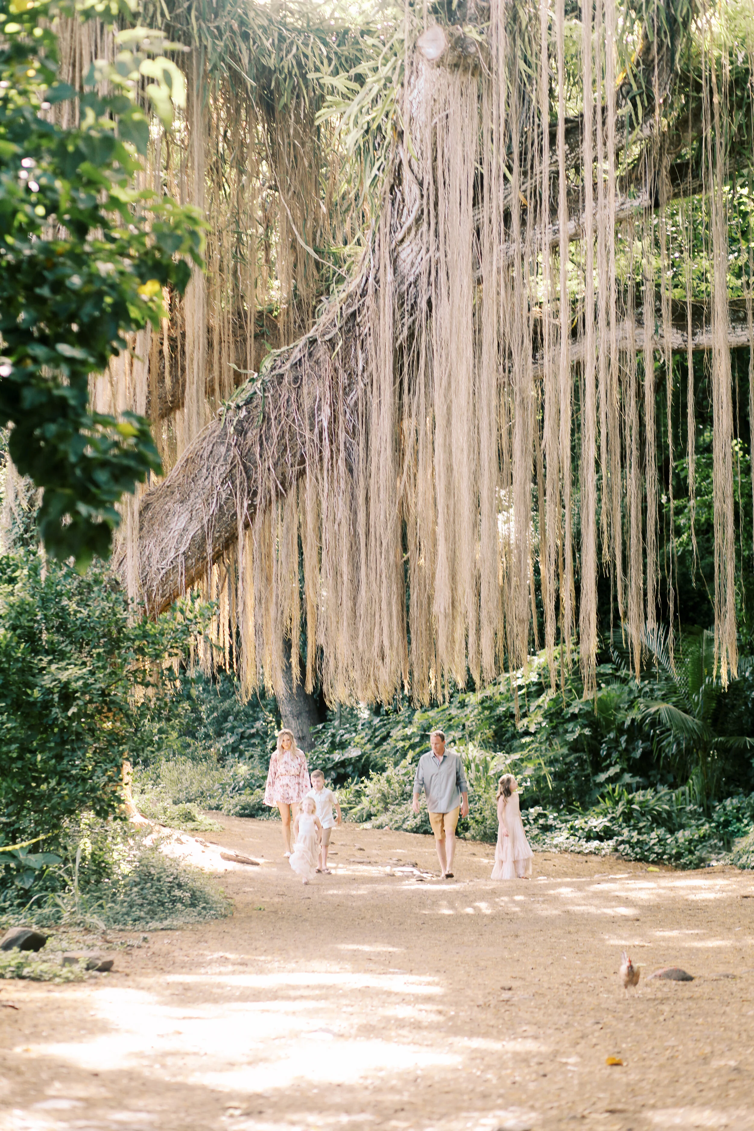 A Maui Rainforest Family Session 