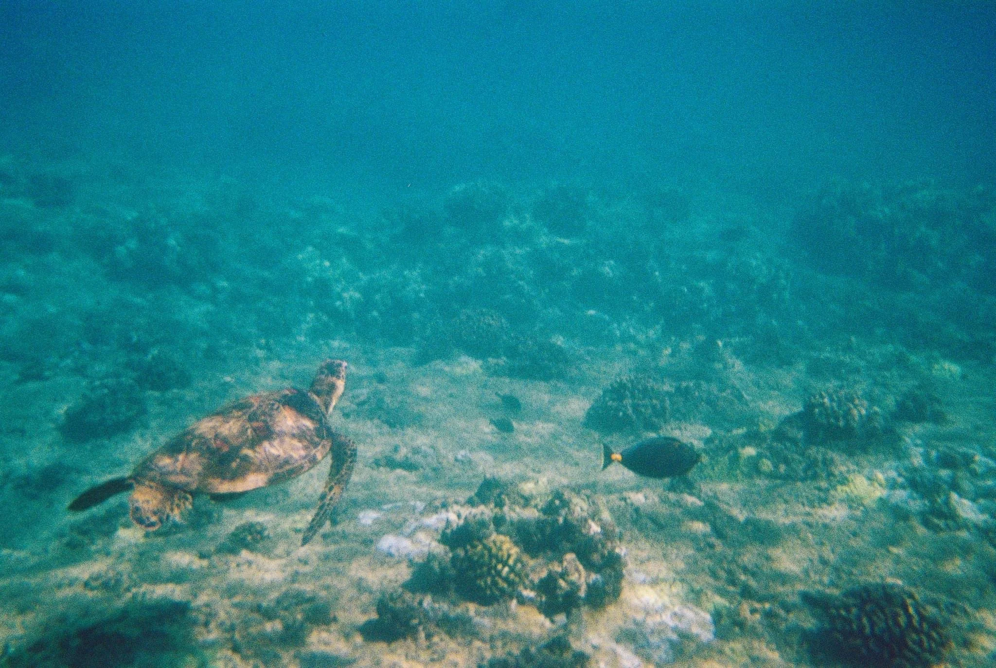 IMG_6548.JPG