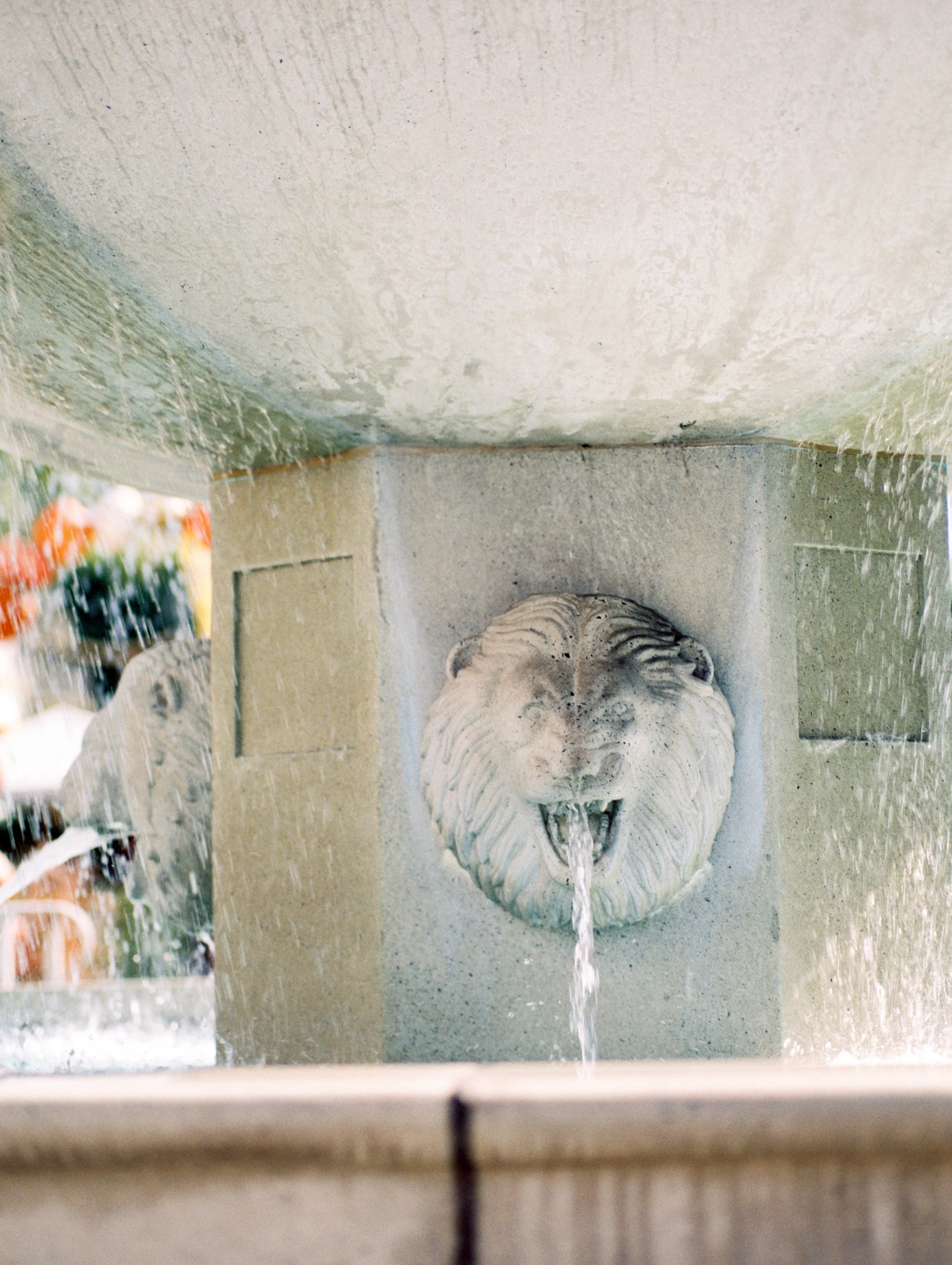 sm2(1of1)-8.jpg