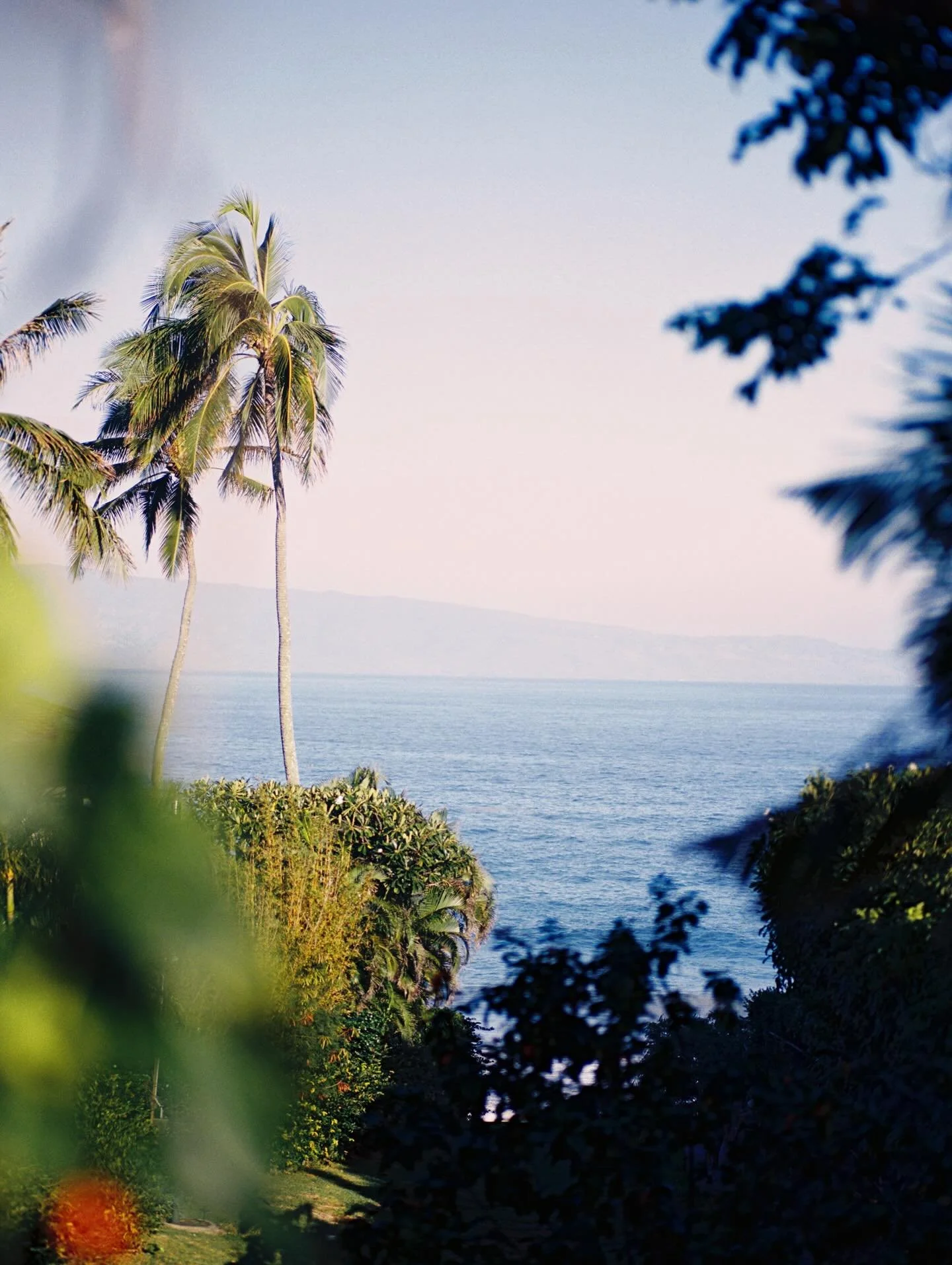 life lately >>> 
.
.
.
.
.
.
.
#120film #contax645 #portra400film #traveloften #shootmorefilm