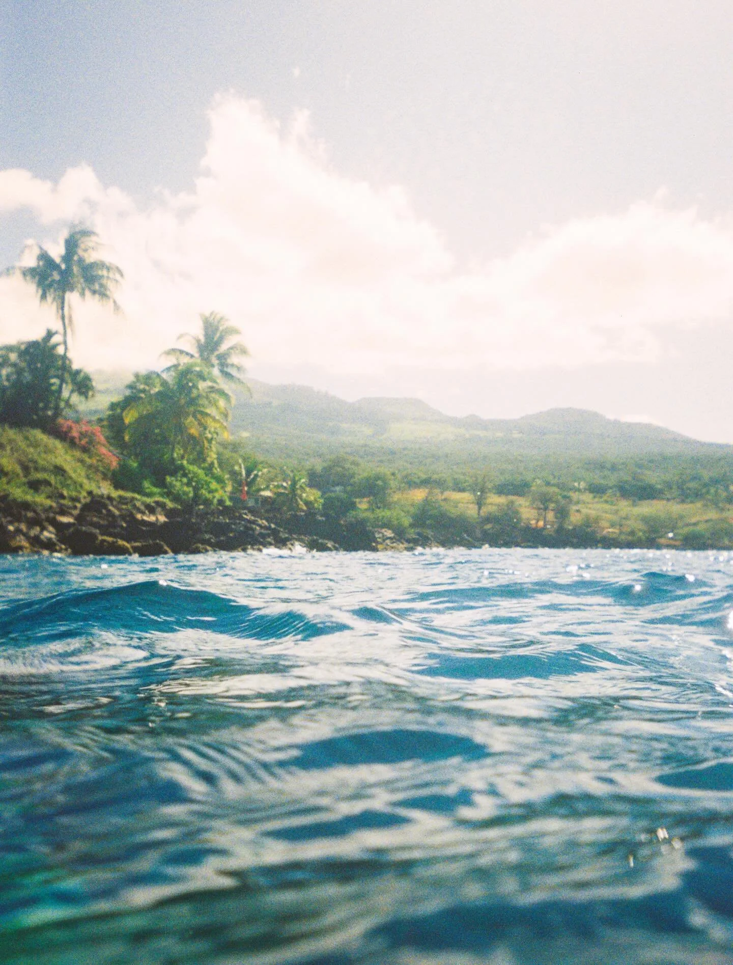 𓆝𓆟𓂃𓆉︎𓂃𓂃𓆟 

&bull;&bull;&bull;&bull;&bull;
.
.
.
.
.
.
.
.
.
.
.
.
.
.
.
#earthfocus #35mm #underwaterphotography #visualsoflife #intotheblue