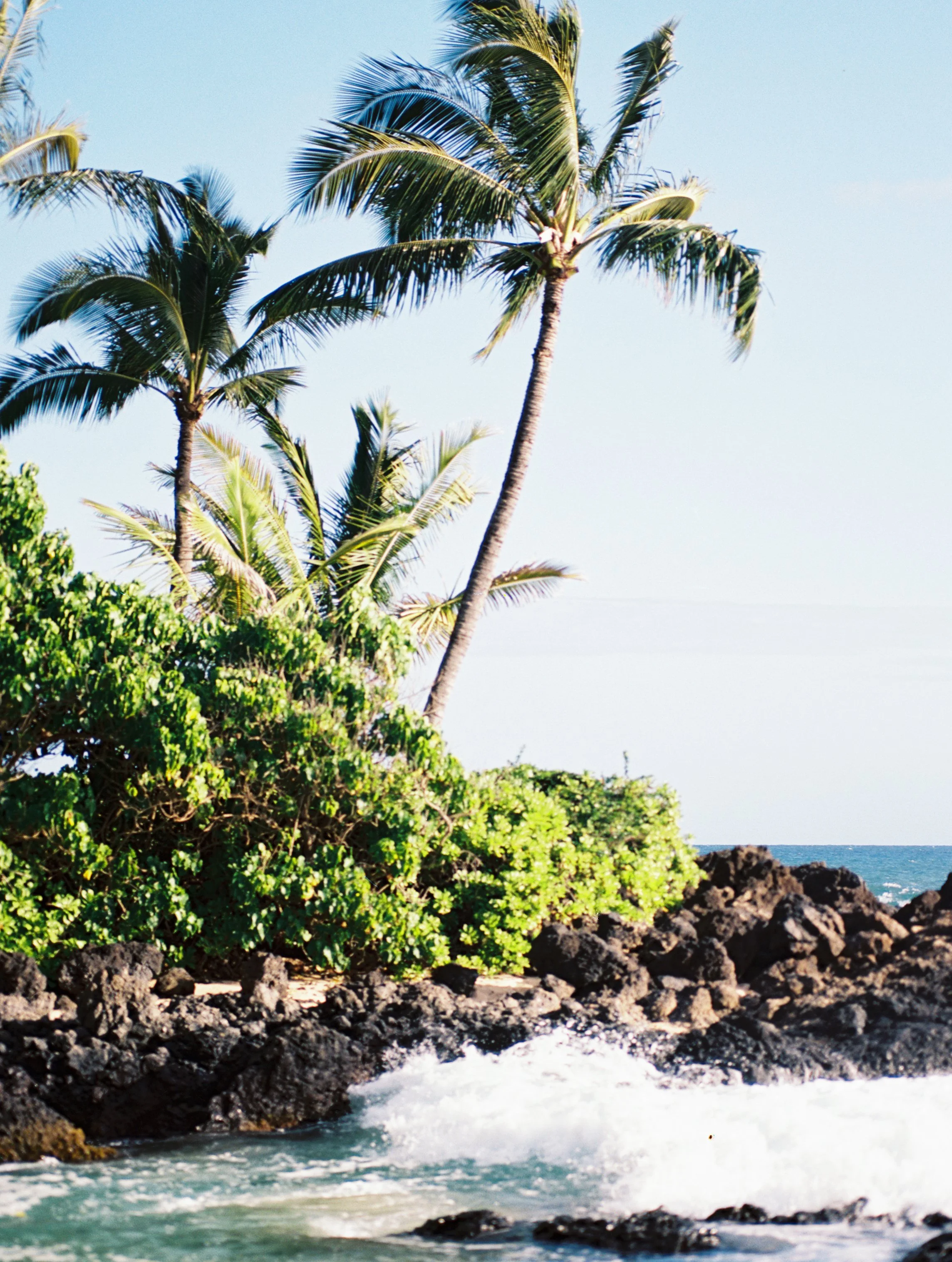 A dramatic film photo of Makena Cove ( Secret Beach ) in Maui with palm trees and a wave crashing on the lava rocks.