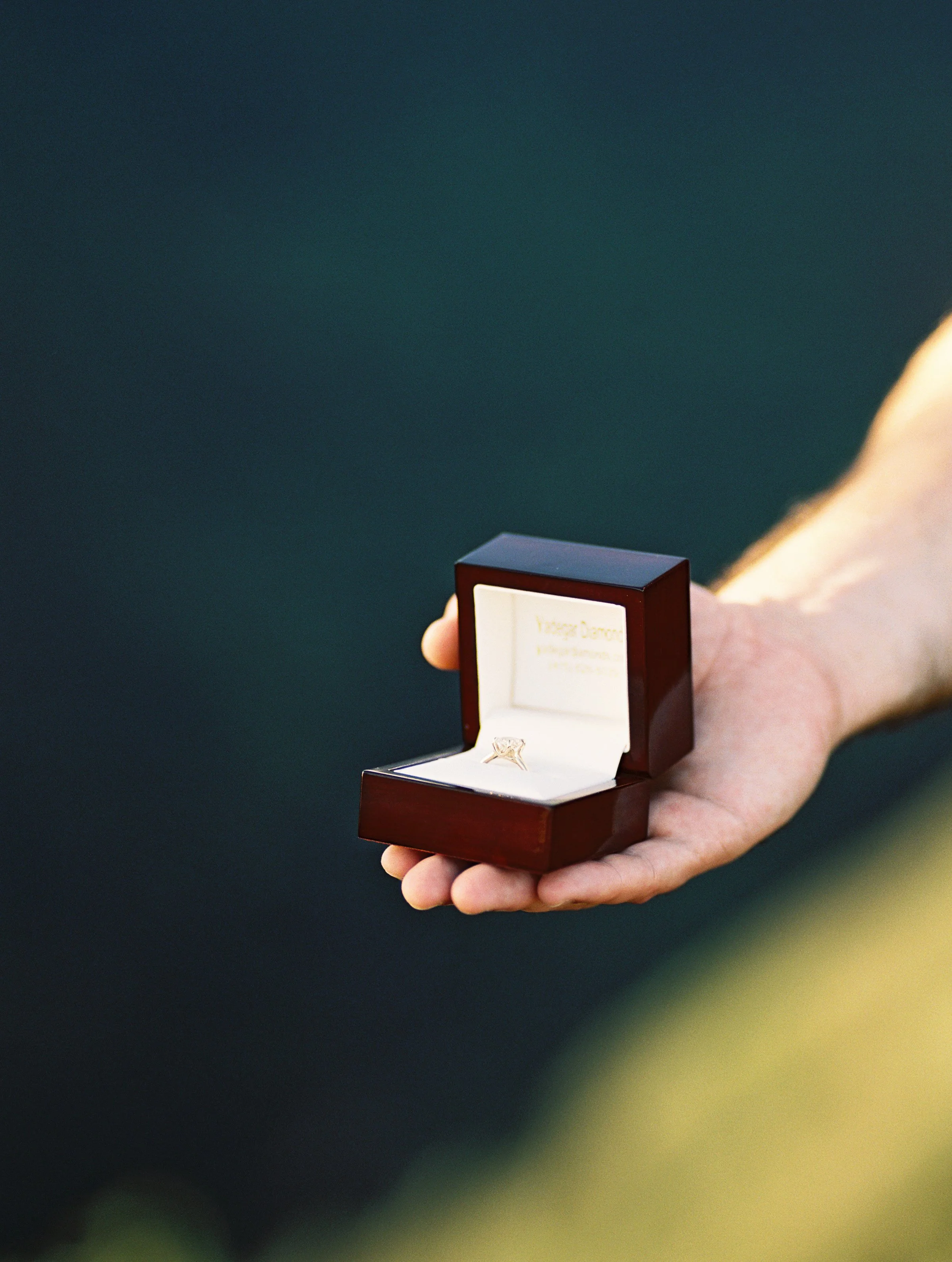 Maui Couples Photographer, Maui Adventure Proposal , Maui Engagement Photographer