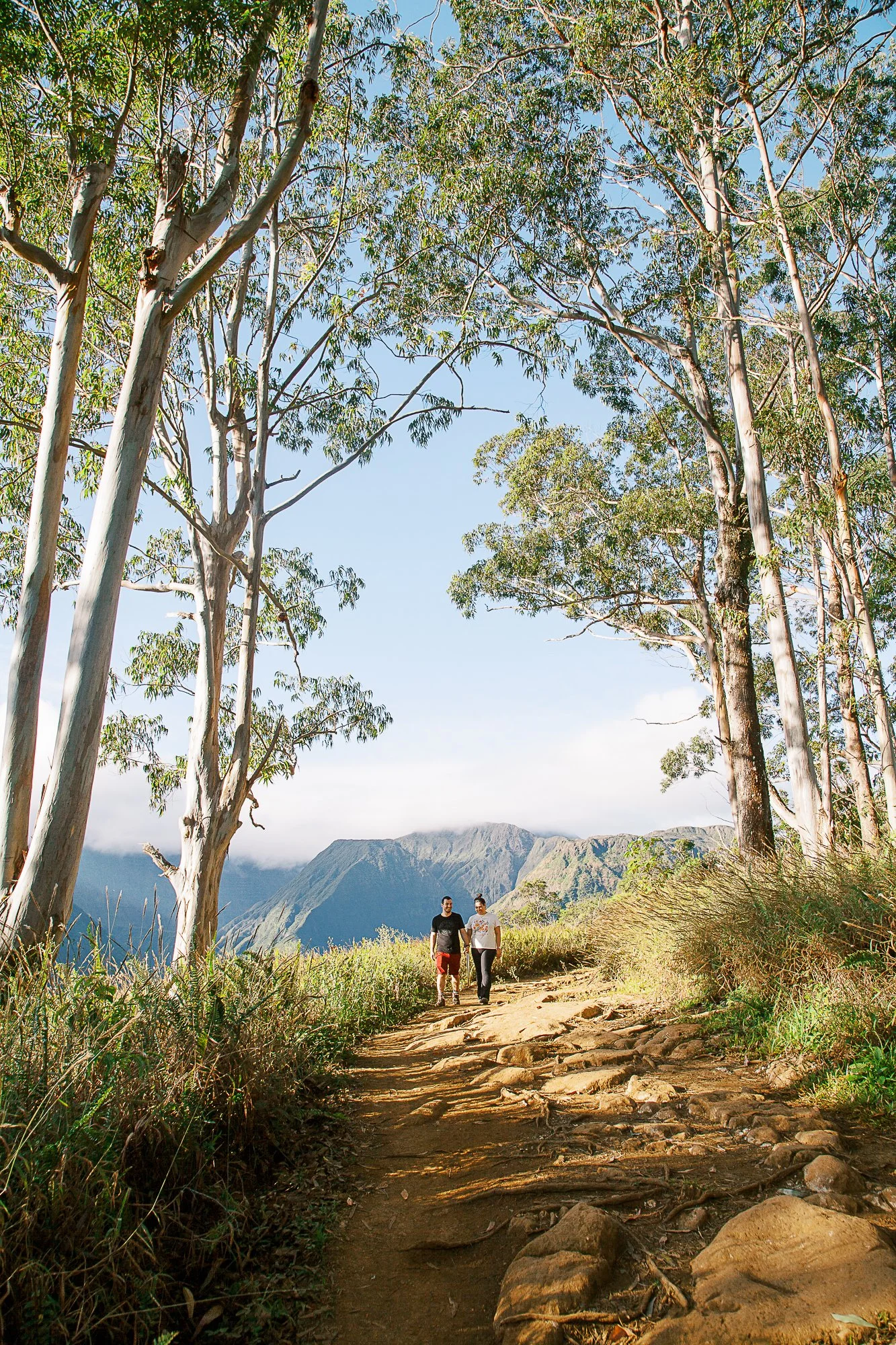 Waihee Ridge Trail