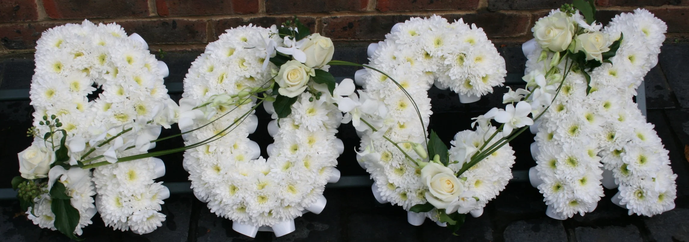 mied pic dec 11 053.jpg