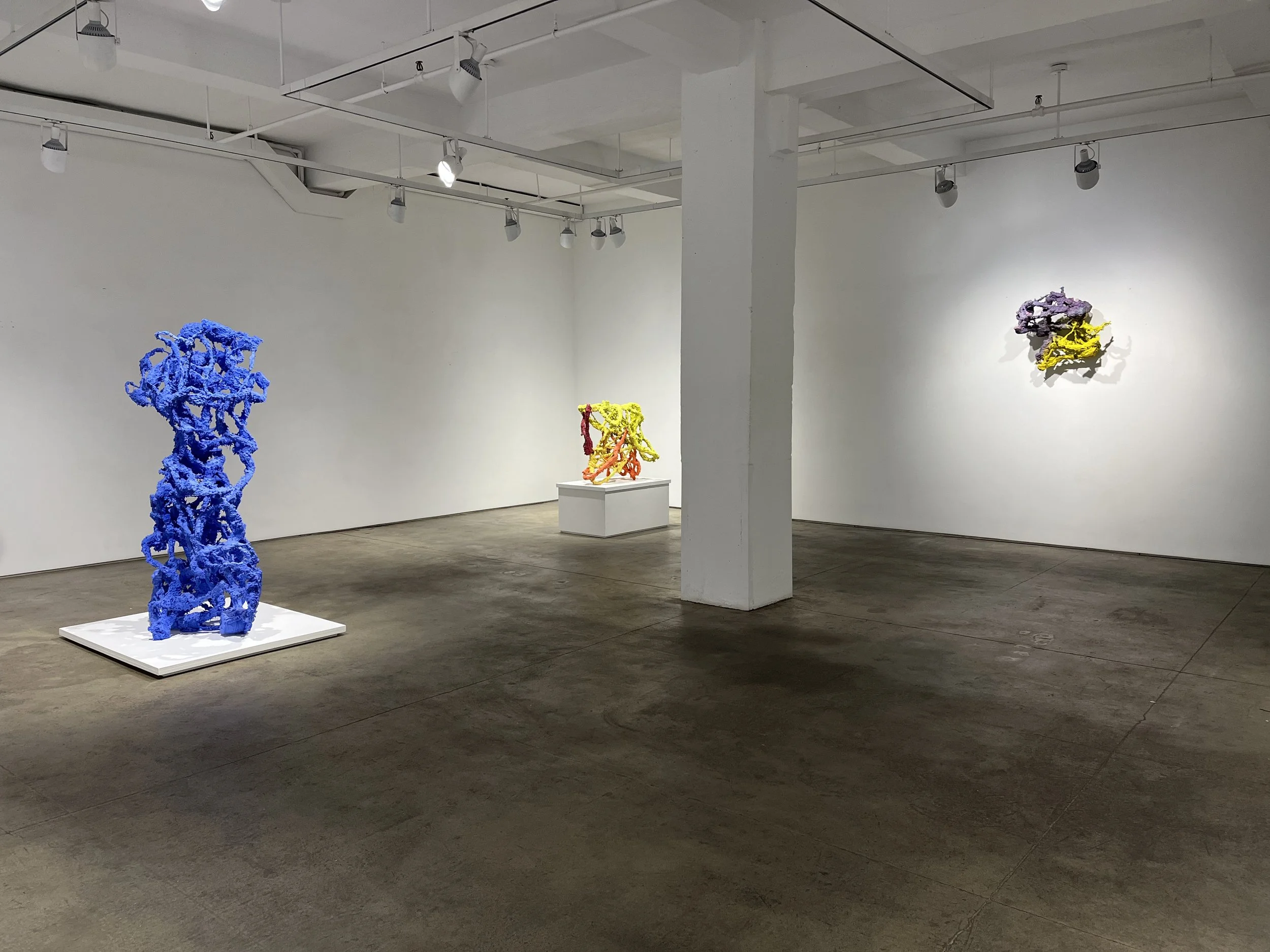 Biederman %22Inststallation Elizabeth Harris Gallery, NYC%22 2022.jpeg