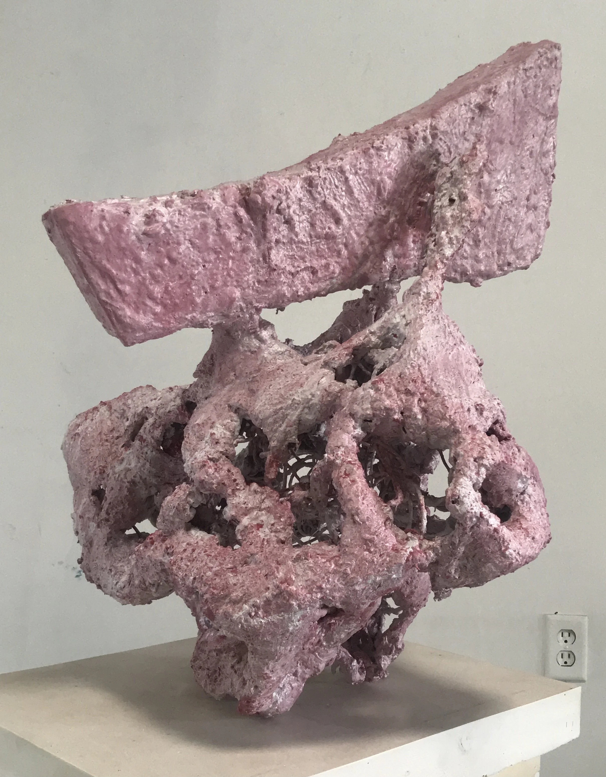 Biederman 2020 Octapus resin pigment wire foam.JPG