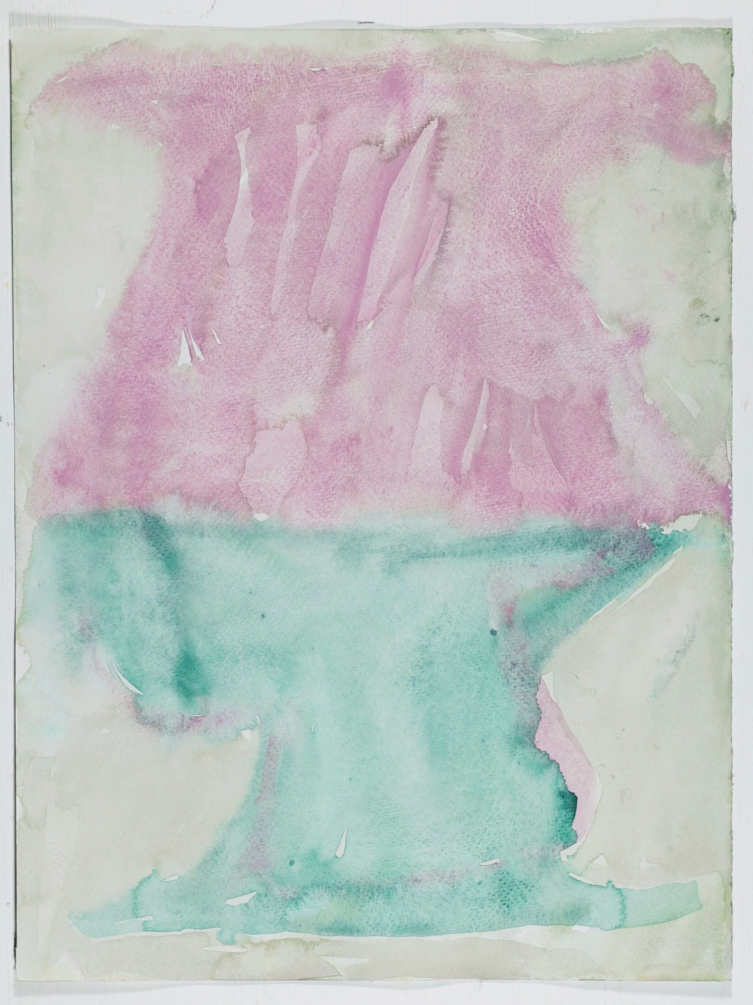 "Tlalpan" 2023  wc on paper 15"x11.5"