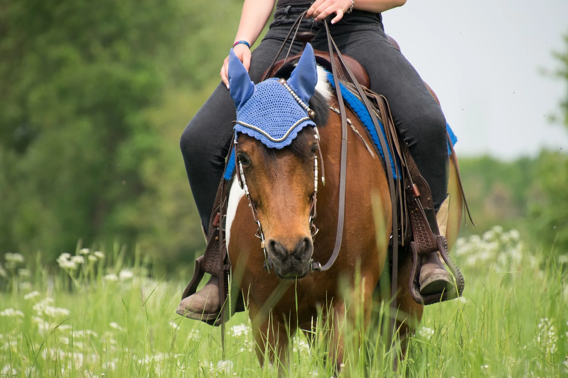 Long summer days mean even longer rides! Don't miss out on beautiful weather because of the bugs and pests.